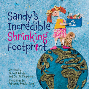 Sandy's Incredible Shrinking Footprint,Used