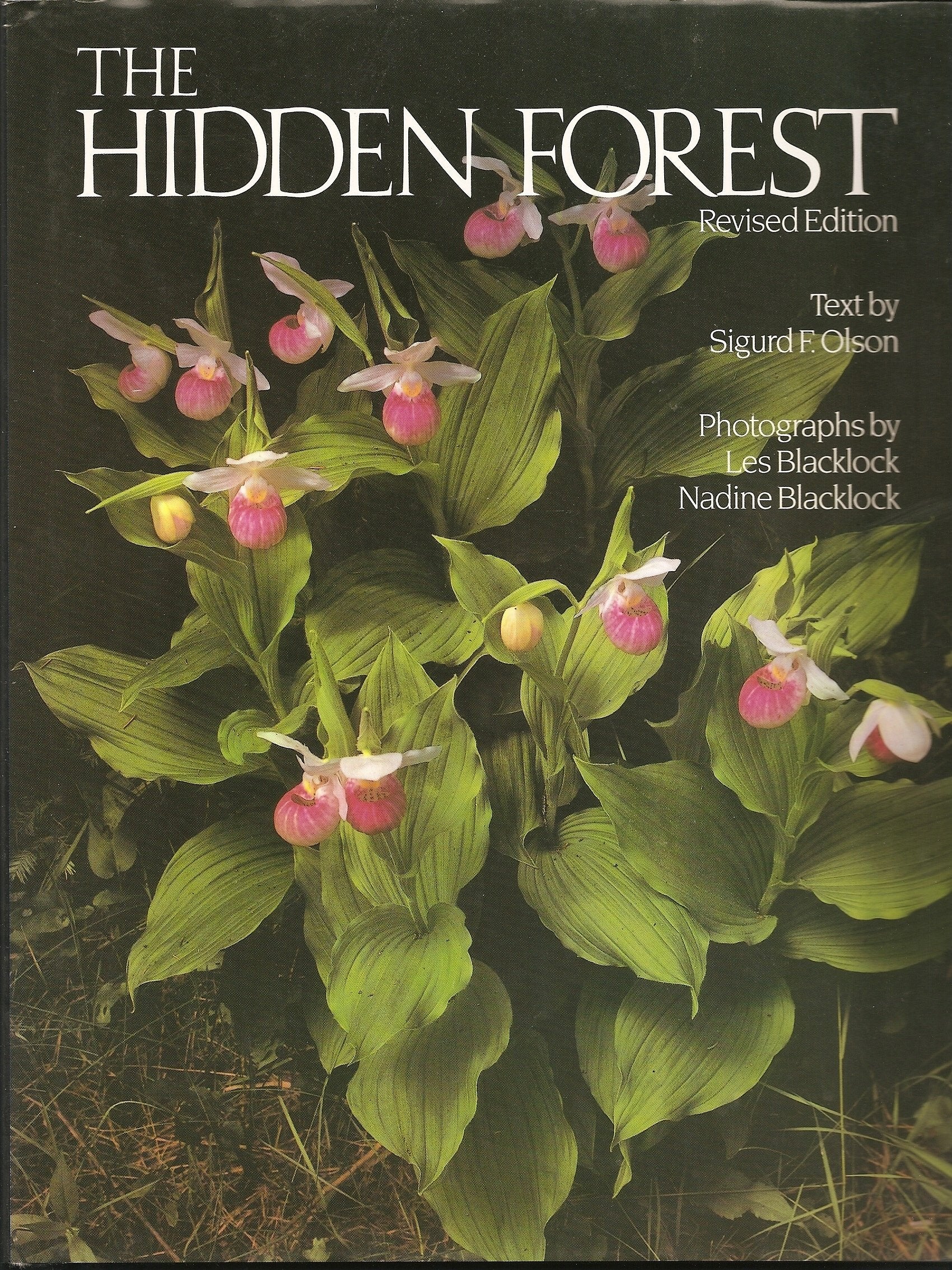 The Hidden Forest,Used