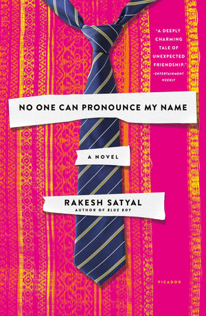 No One Can Pronounce My Name: A Novel