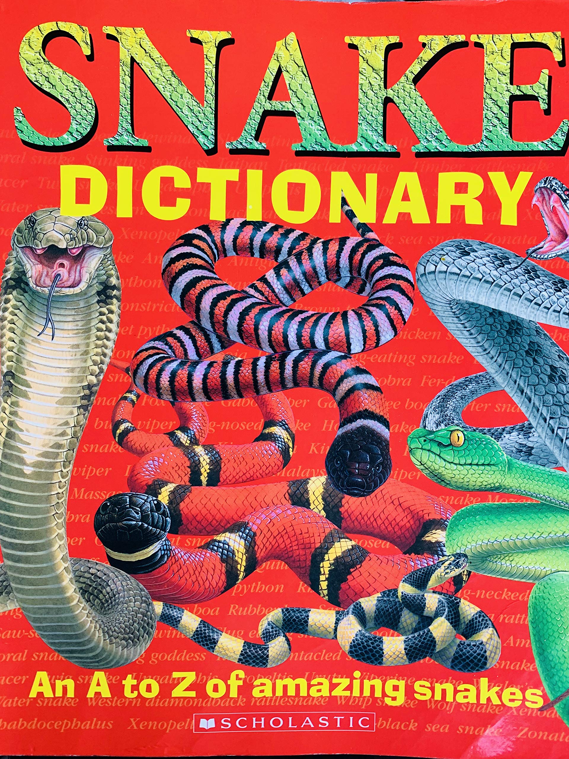 Snake Dictionary (An A To Z Of Amazing Snakes),New