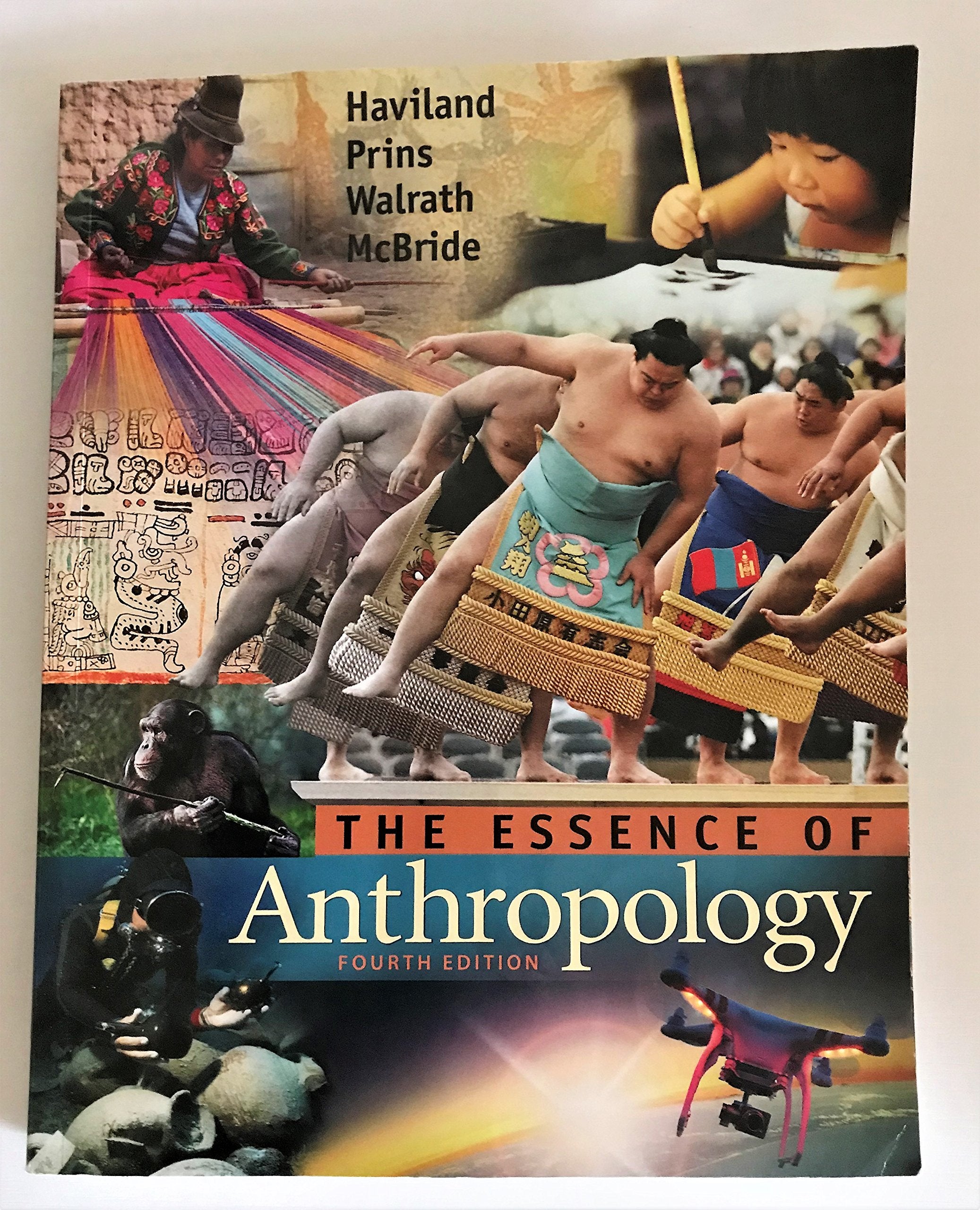 The Essence of Anthropology,Used