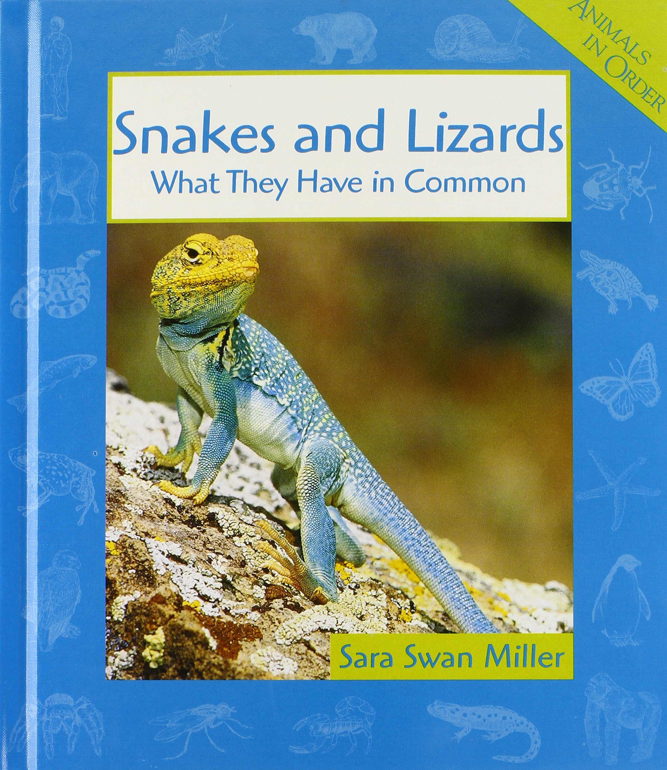 Snakes and Lizards: What They Have in Common (Animals in Order),Used