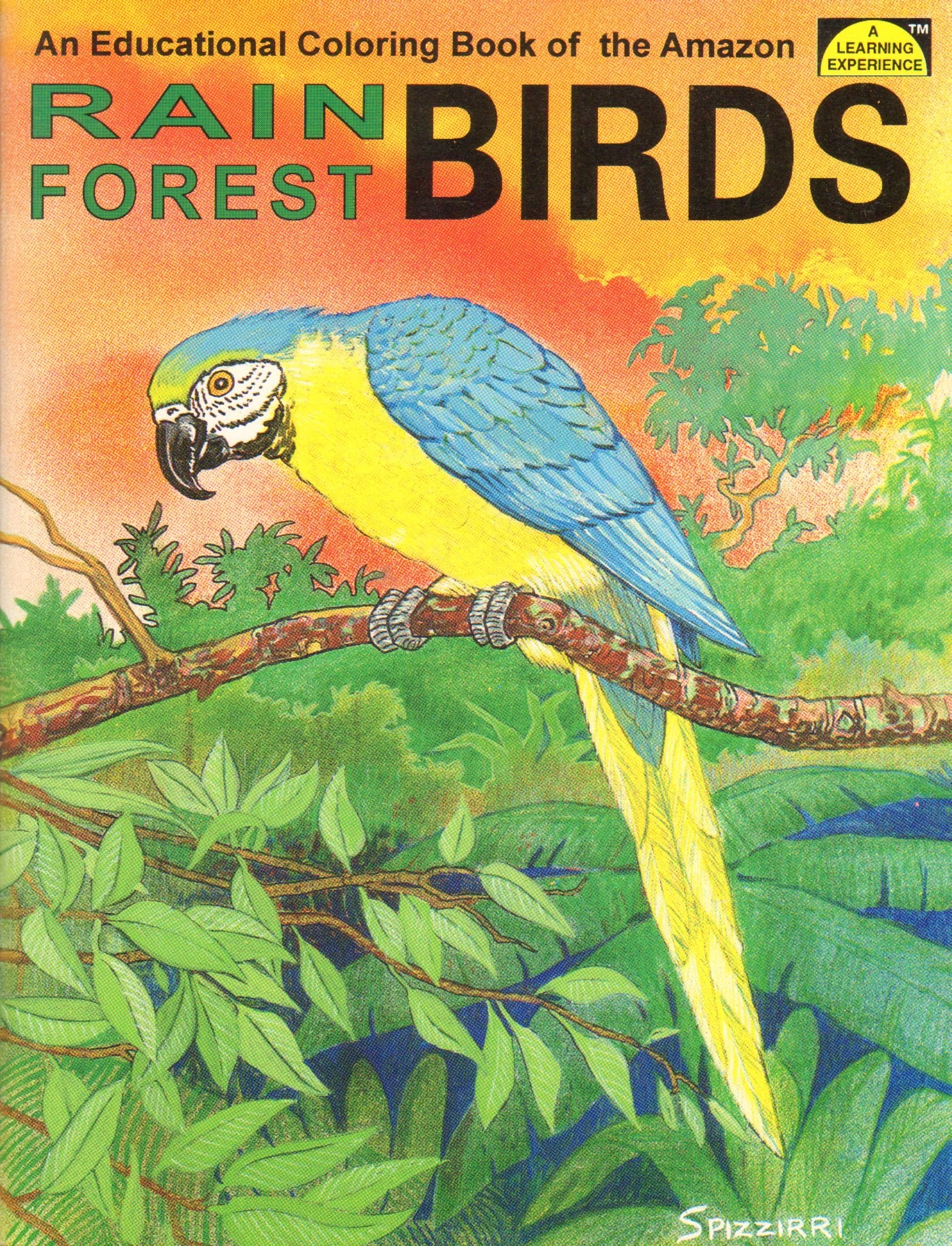 Rain Forest Birds: An Educational Coloring Book,Used