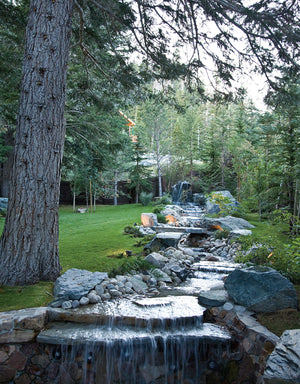 Landscaping with Stone, 2nd Edition: Create Patios, Walkways, Walls, and Other Landscape Features (Creative Homeowner) Over 300 ,Used
