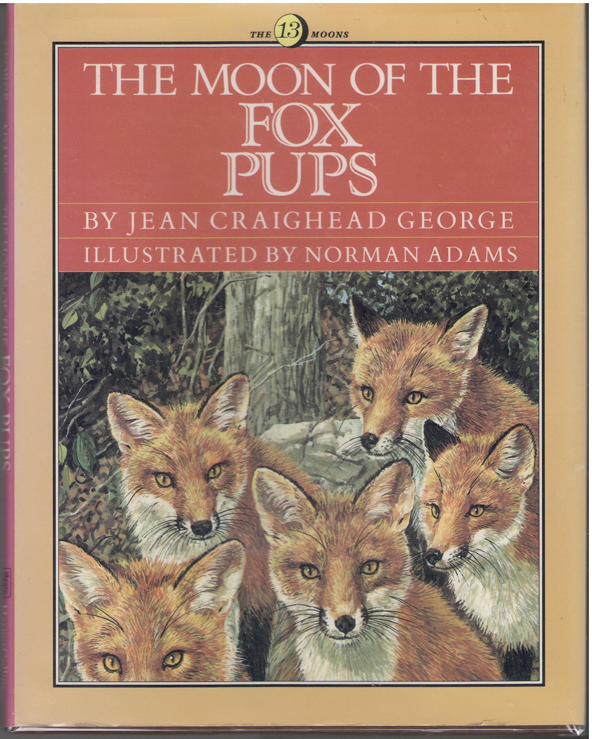 Moon Of The Fox Pups (The Thirteen Moons),Used