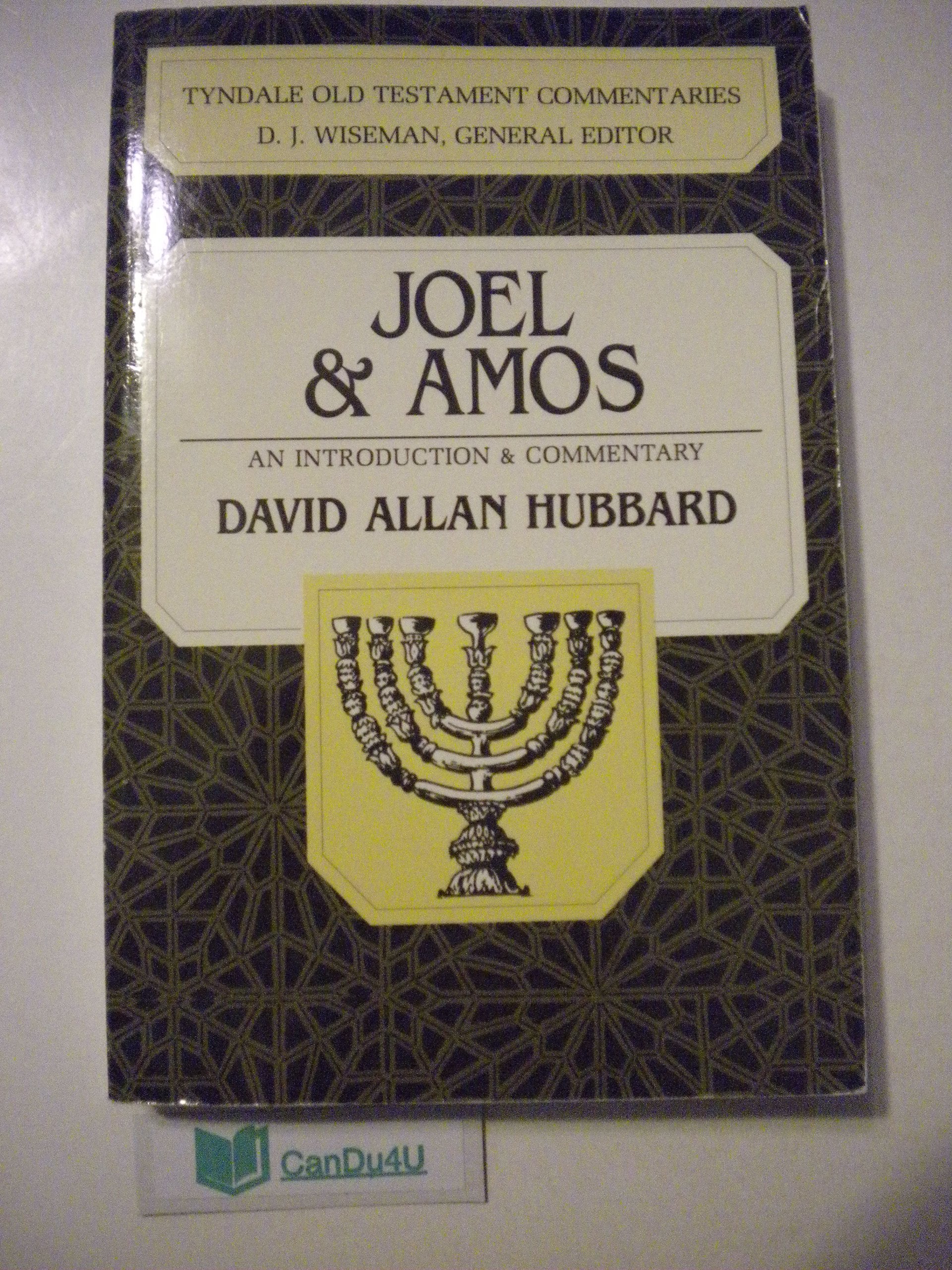 Joel and Amos: An Introduction and Commentary (Tyndale Old Testament Commentaries #22),Used