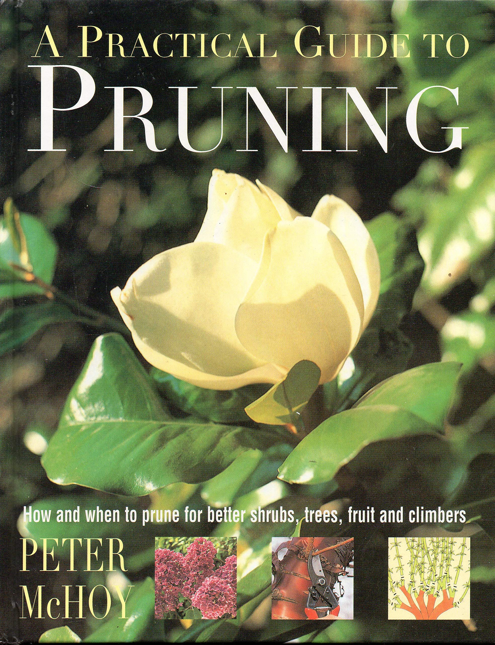 A Practical Guide to Pruning,Used