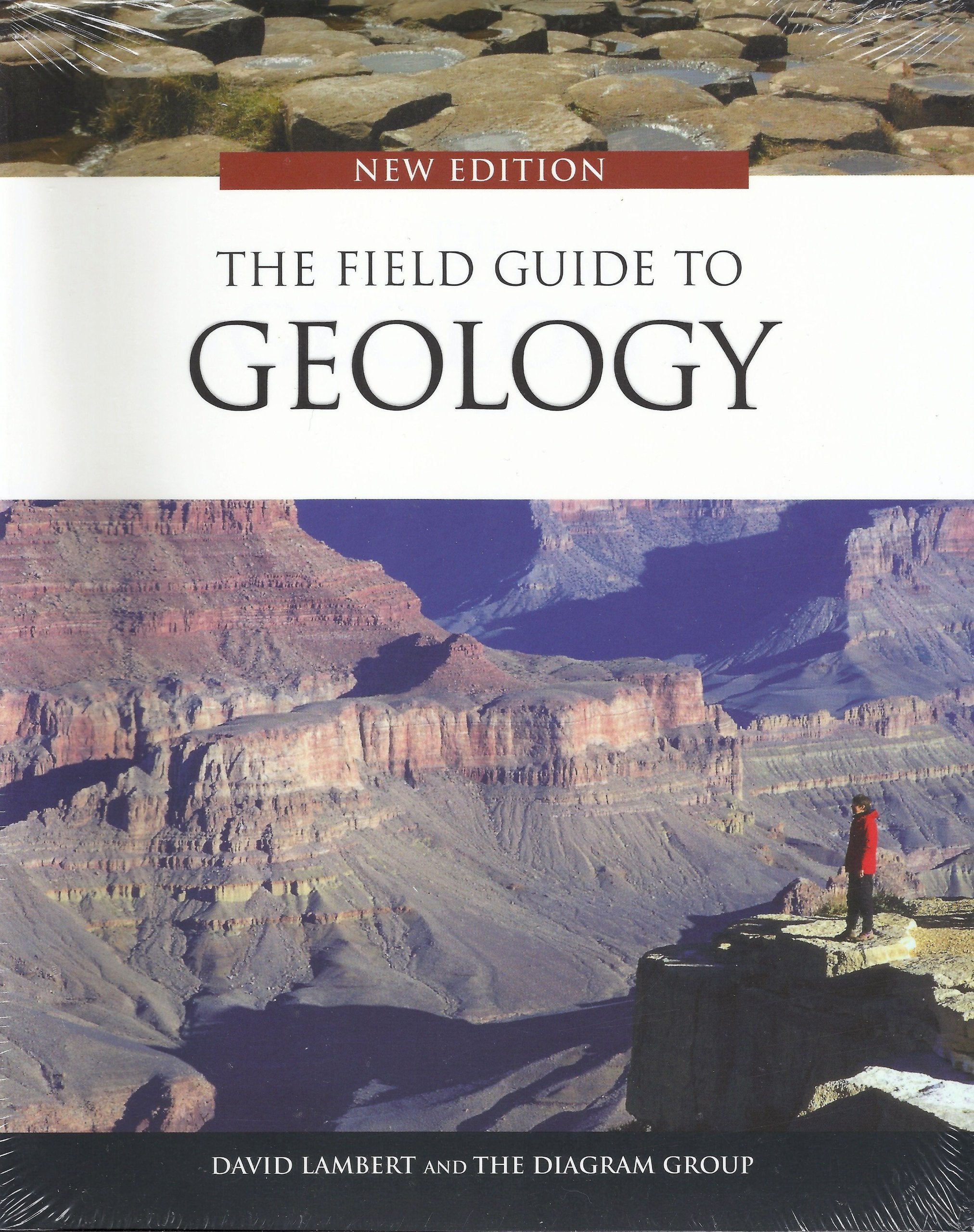 The Field Guide To Geology,New