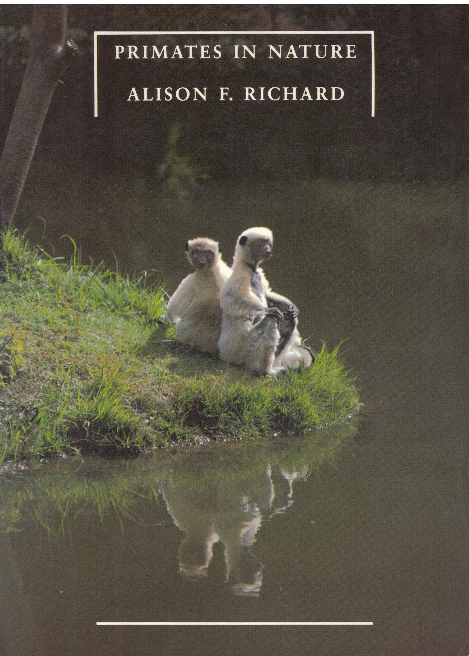 Primates in Nature,Used