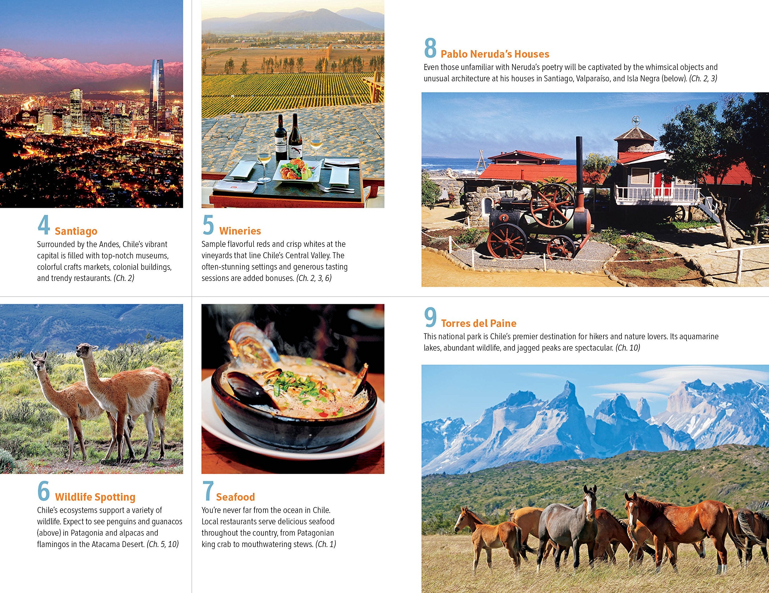 Fodor's Essential Chile: with Easter Island & Patagonia (Travel Guide),Used
