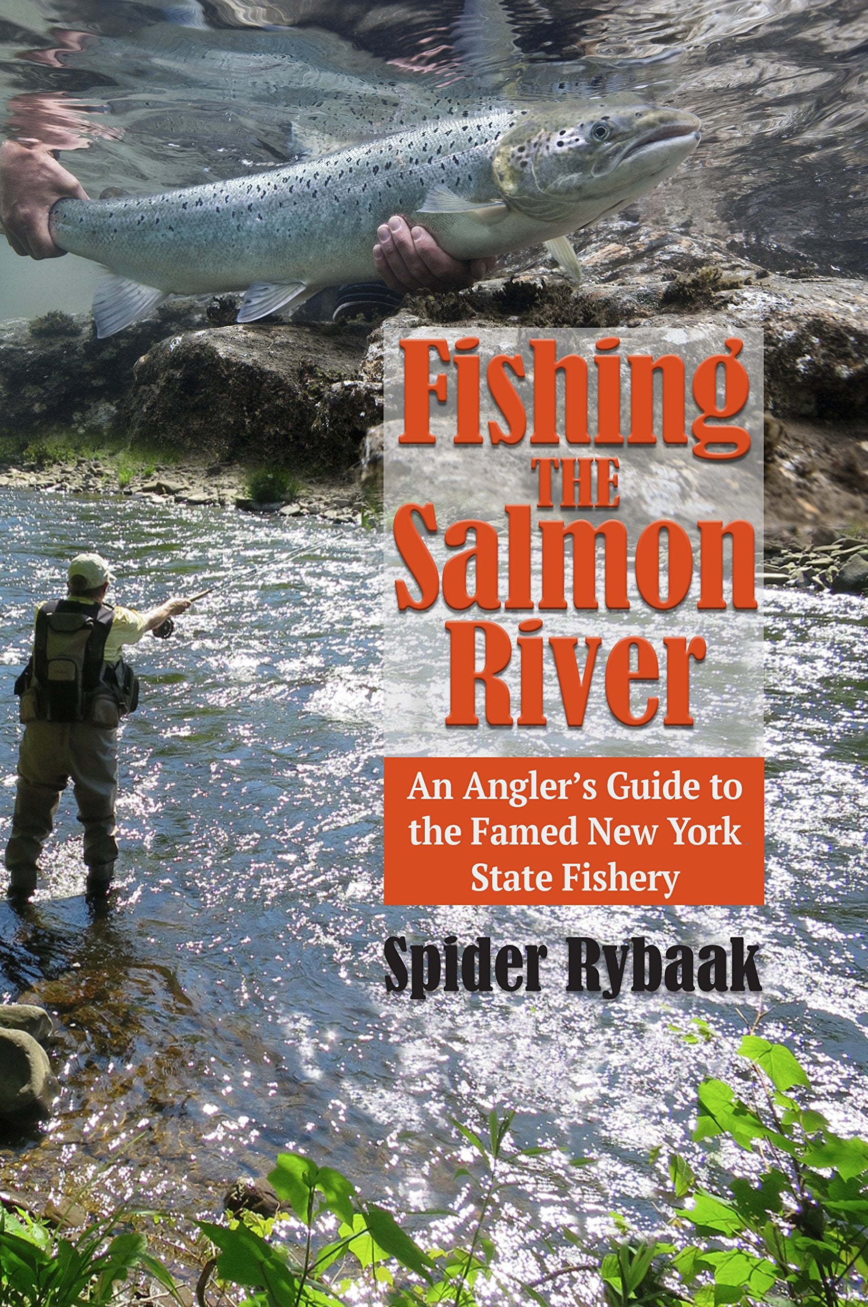 Fishing The Salmon River,New