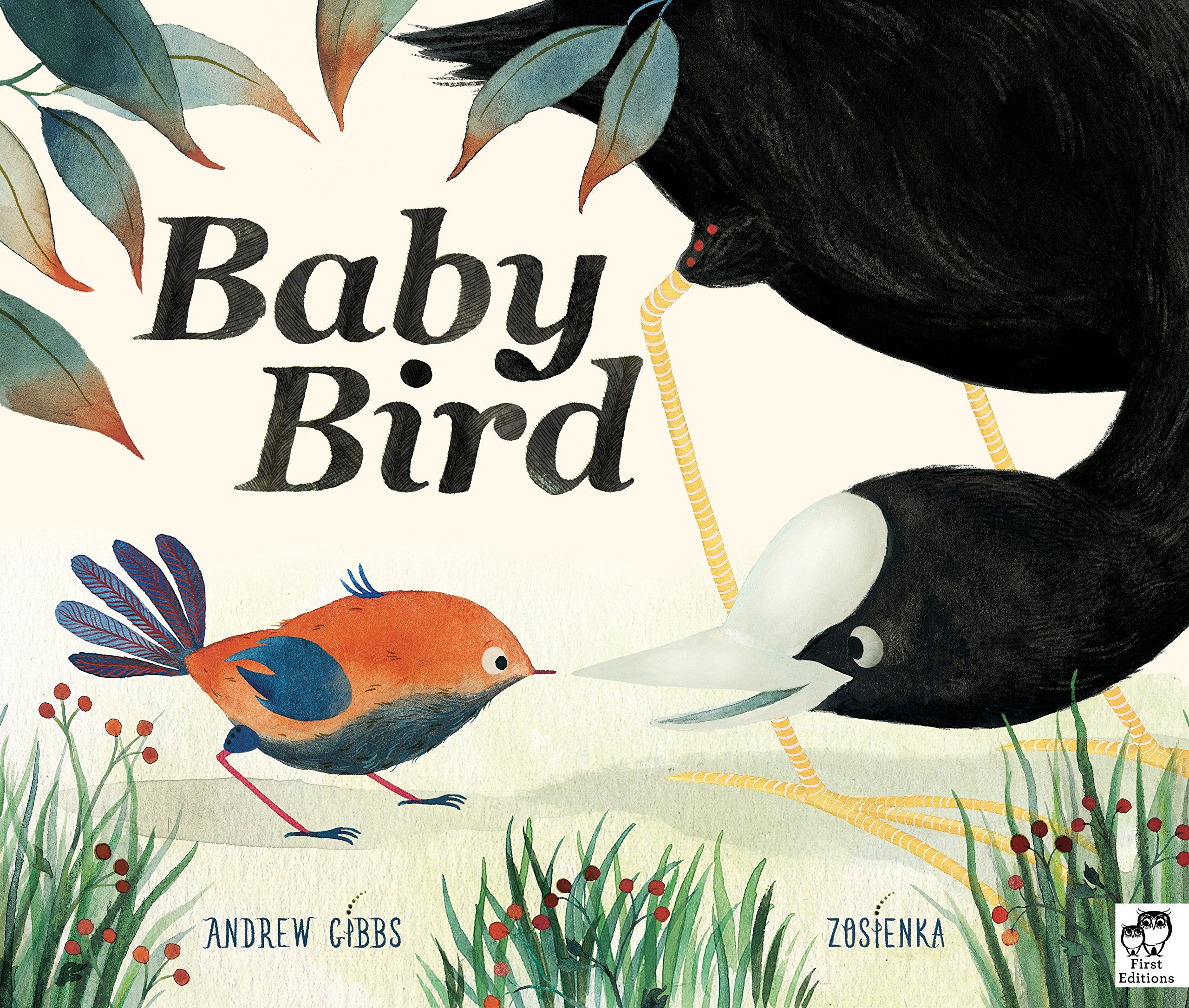 Baby Bird,Used