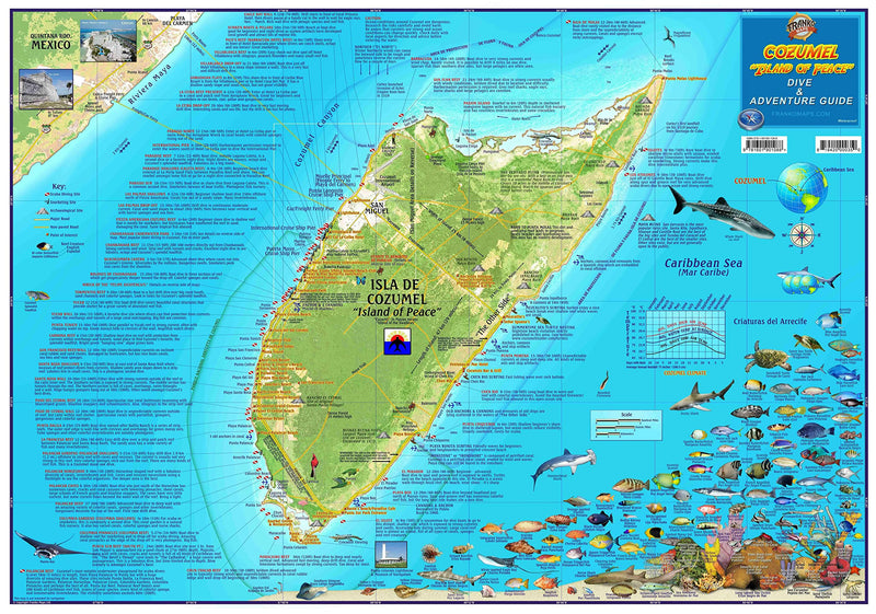 Cozumel Dive & Adventure Guide Franko Maps Waterproof Map,Used