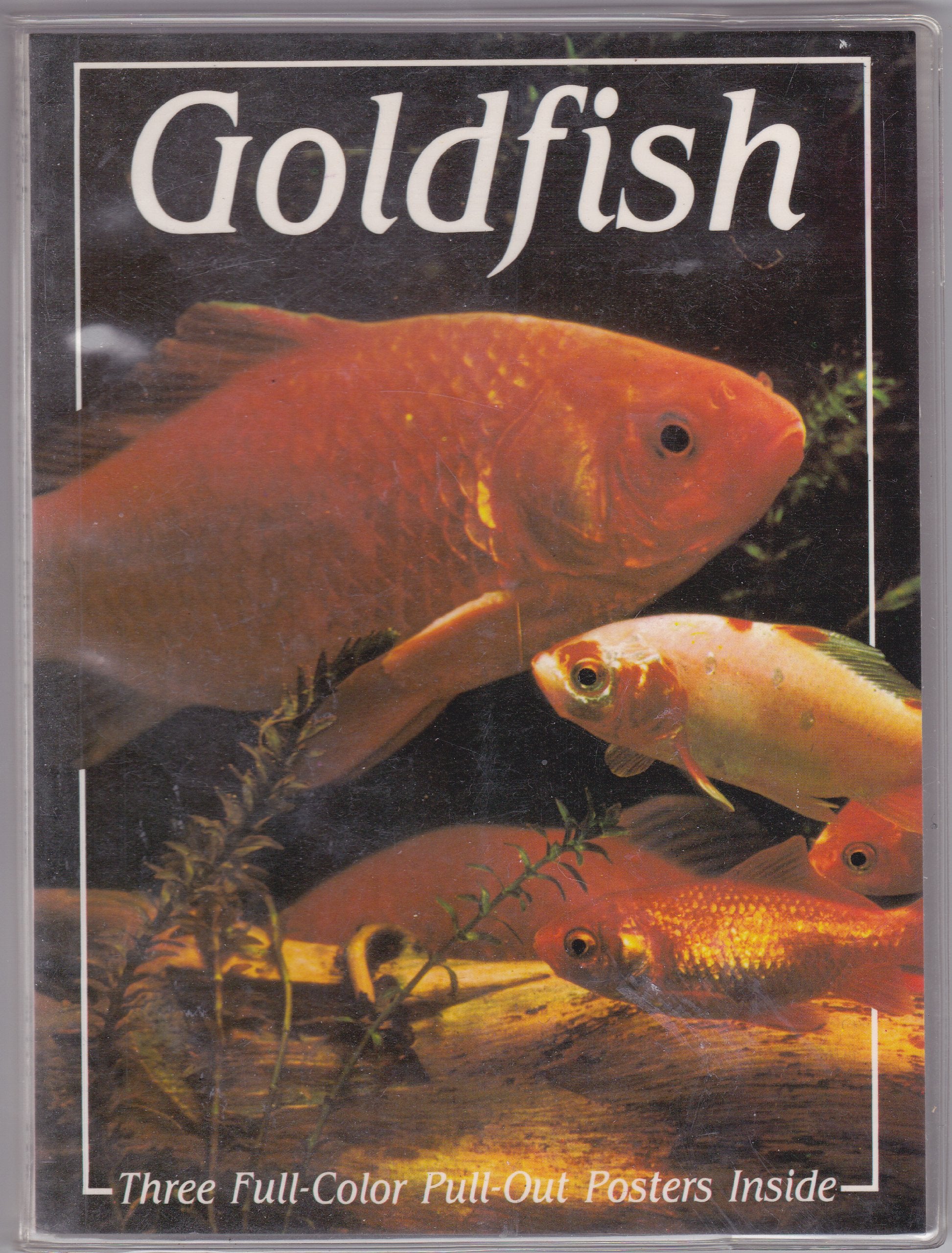 Goldfish (Tfh Poster Book Series),Used