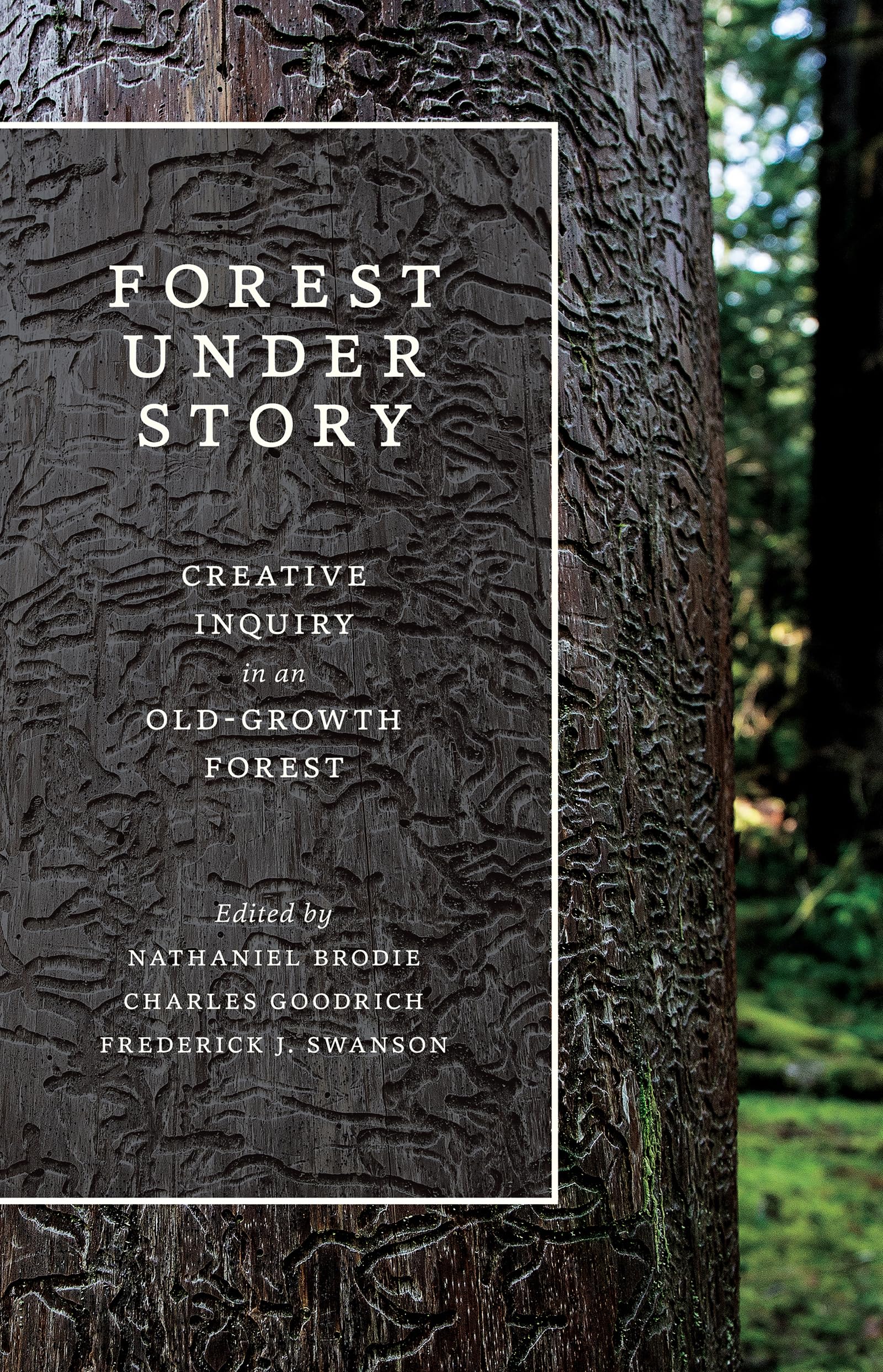 Forest Under Story: Creative Inquiry In An Oldgrowth Forest (Ruth Kirk Book Fund),New
