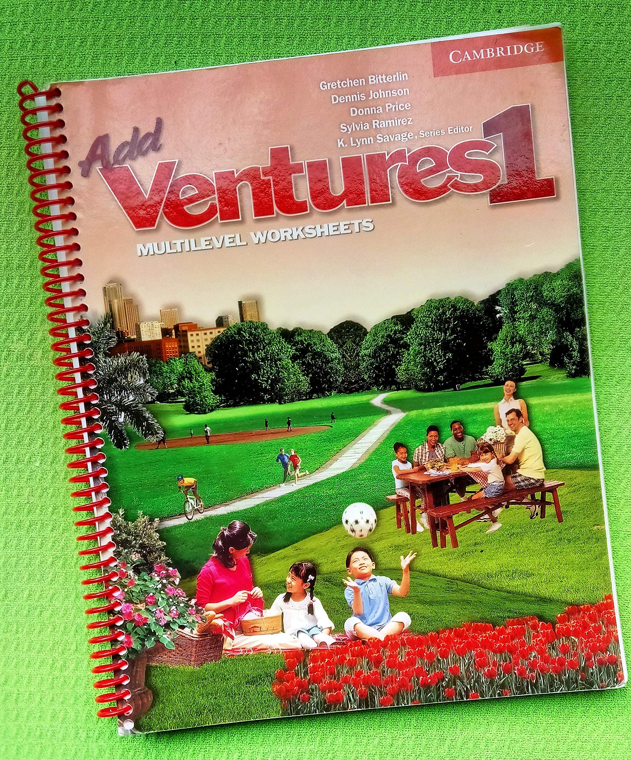 Add Ventures 1