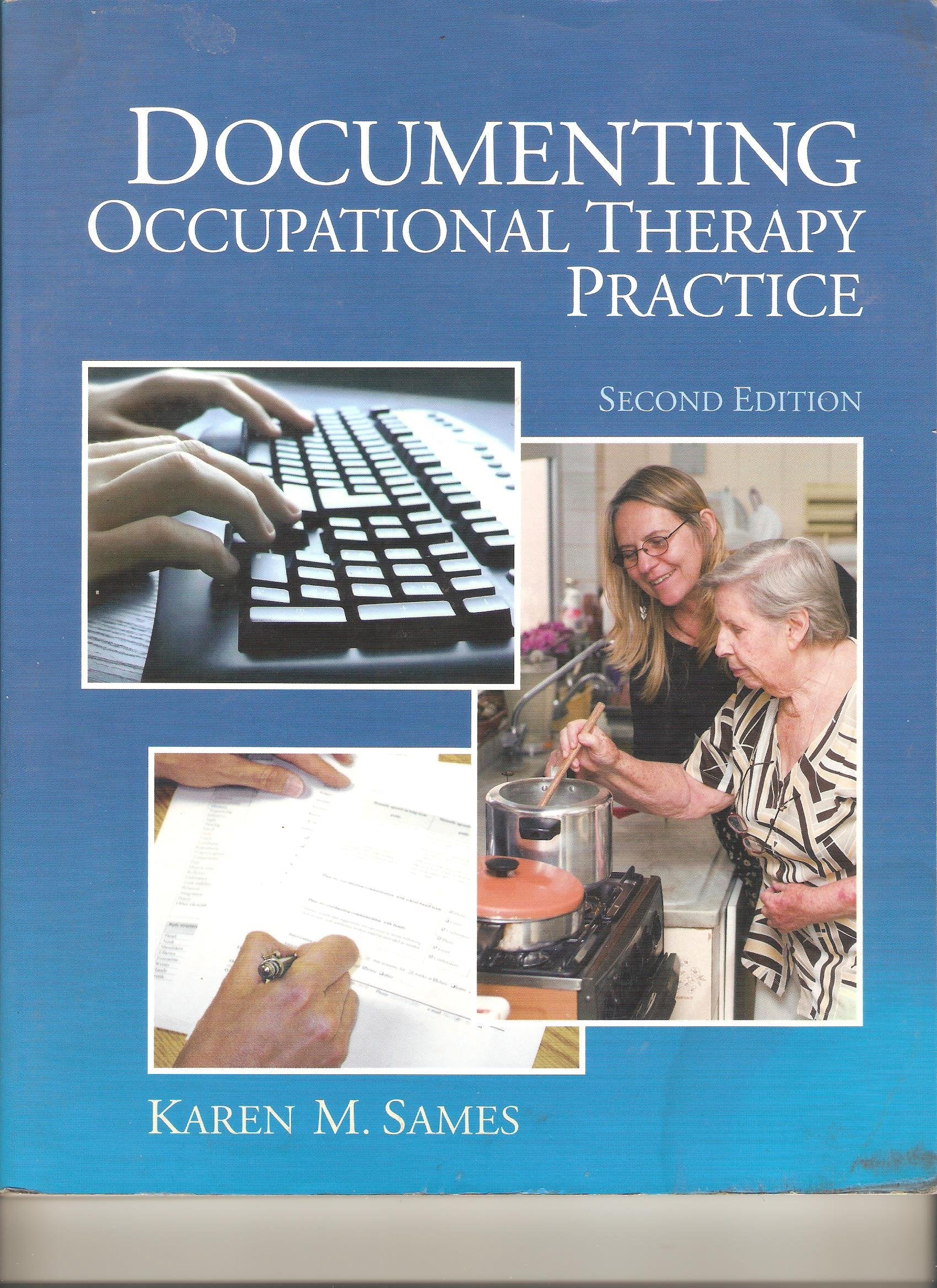 Documenting Occupational Therapy Practice,New