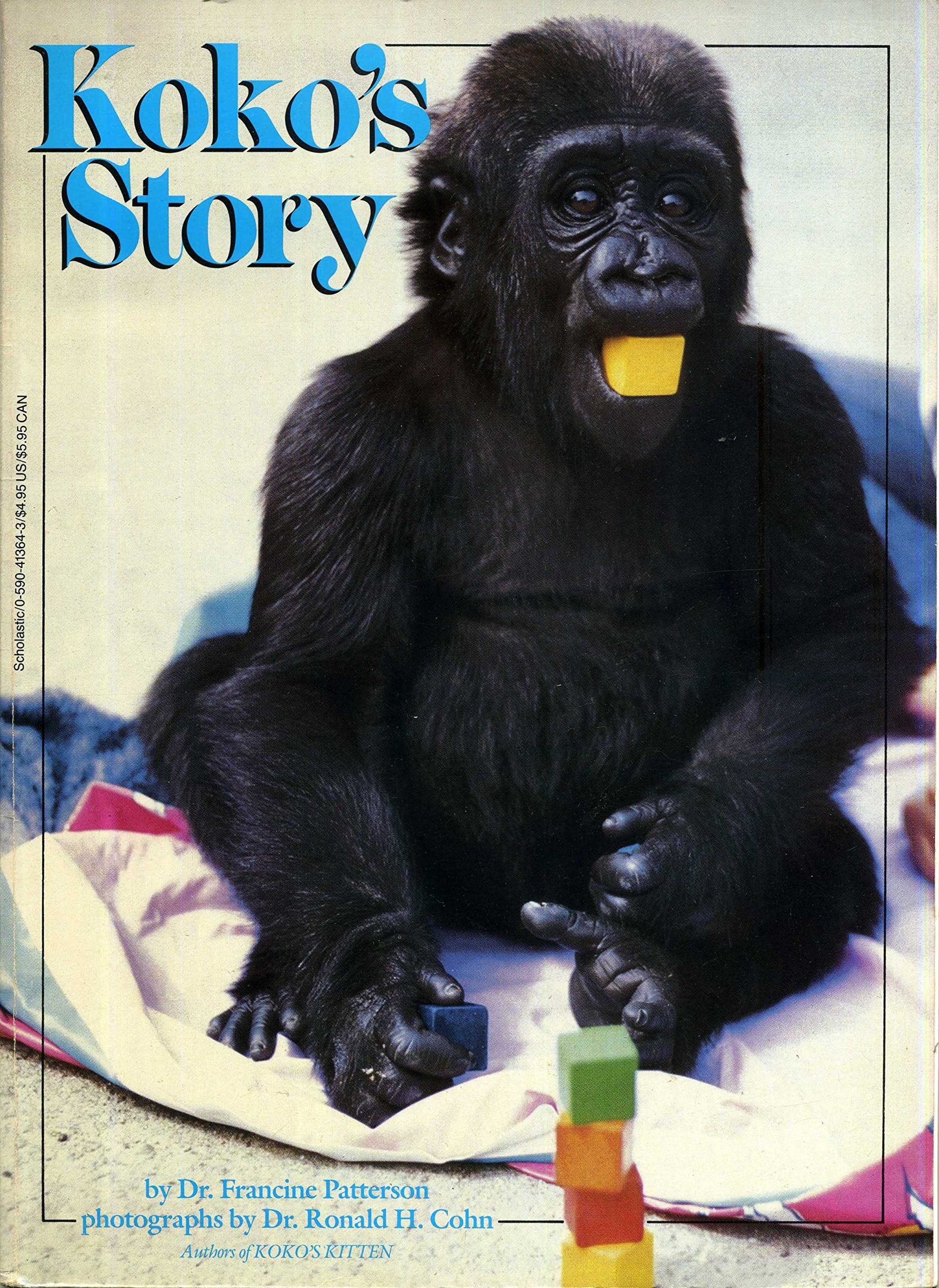 Kokos Story