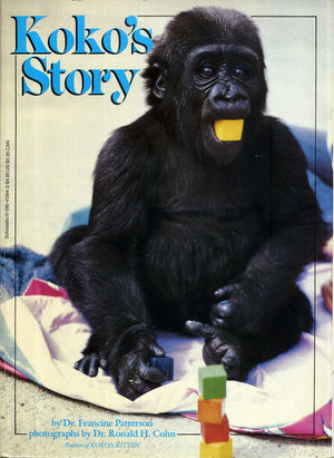 Kokos Story