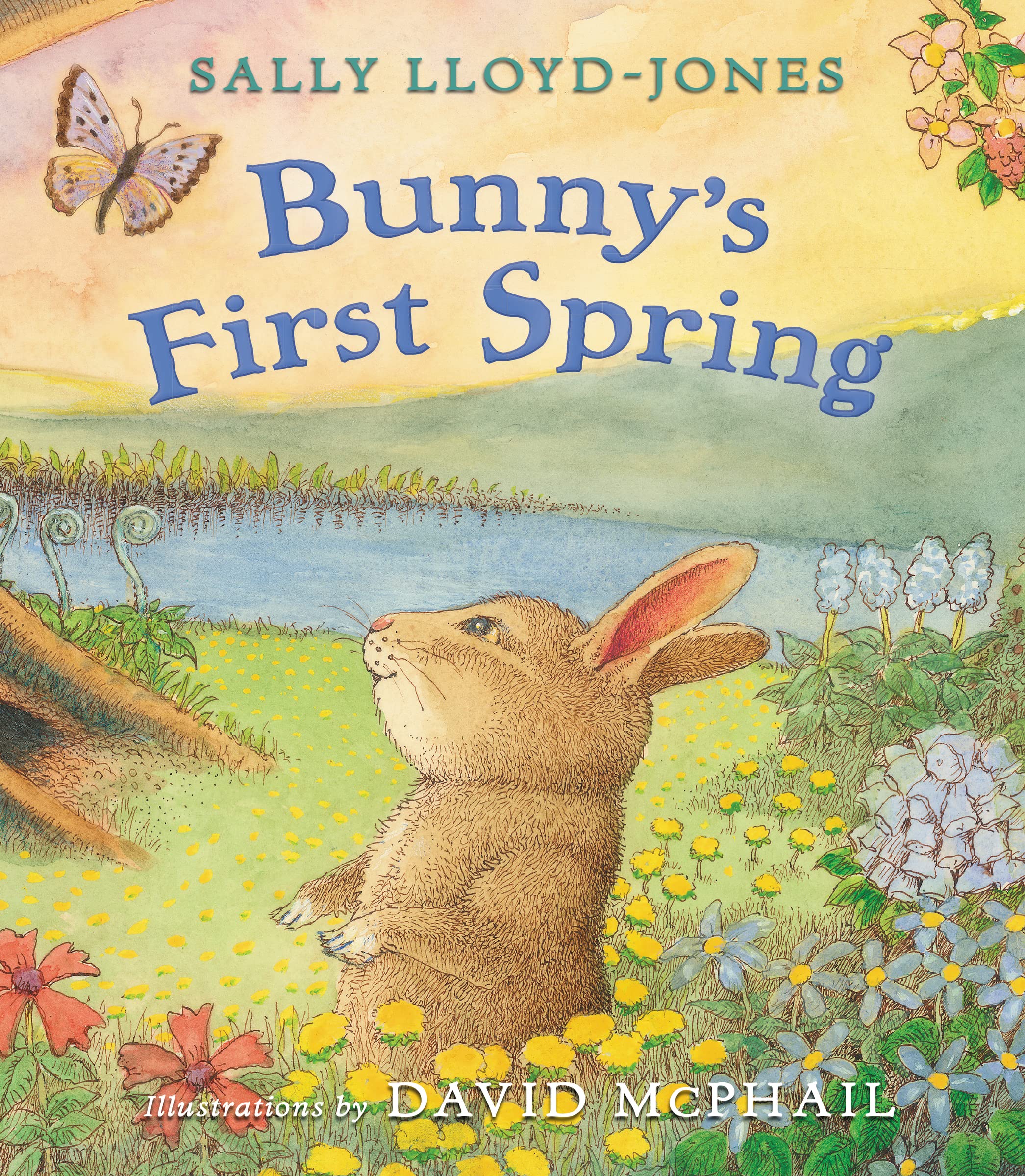 Bunny's First Spring,Used