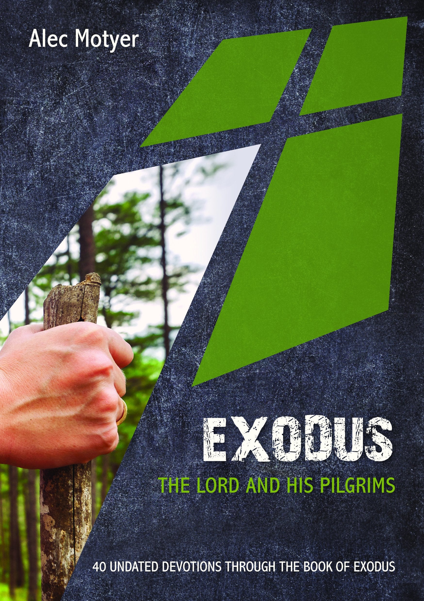 Exodus: The Lord and His Pilgrims  40 undated devotions through the book of Exodus,Used