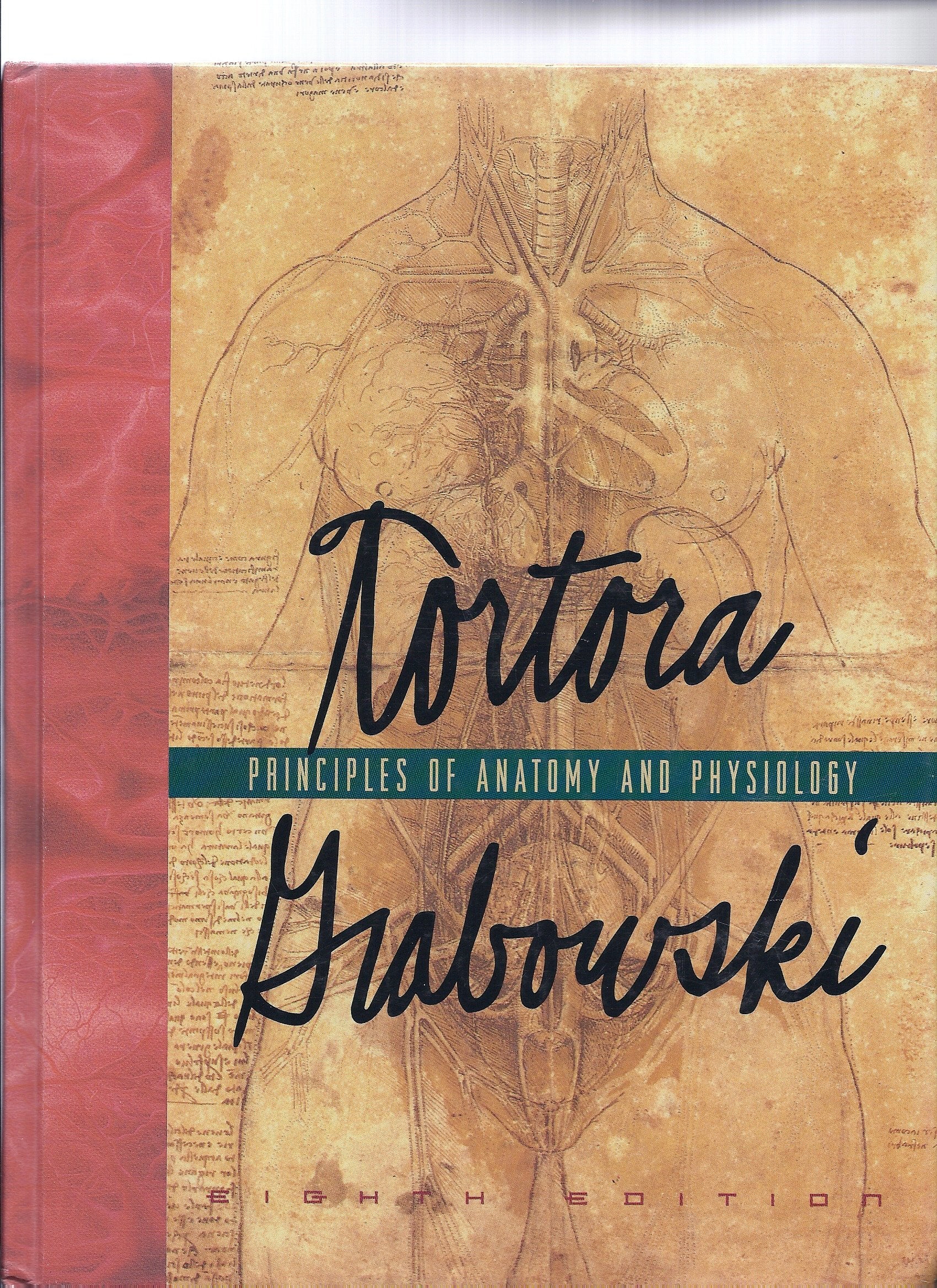 Principles of Anatomy and Physiology,Used