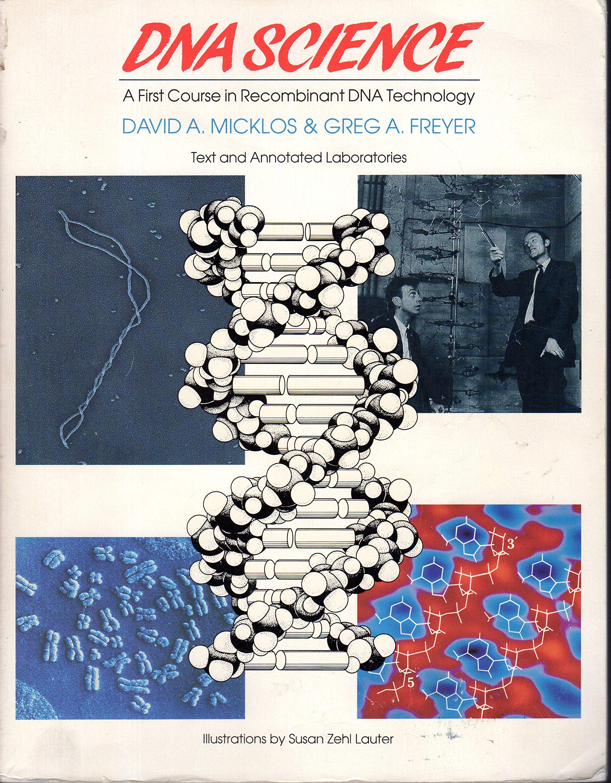 DNA Science: A First Course in Recombinant DNA Technology,New