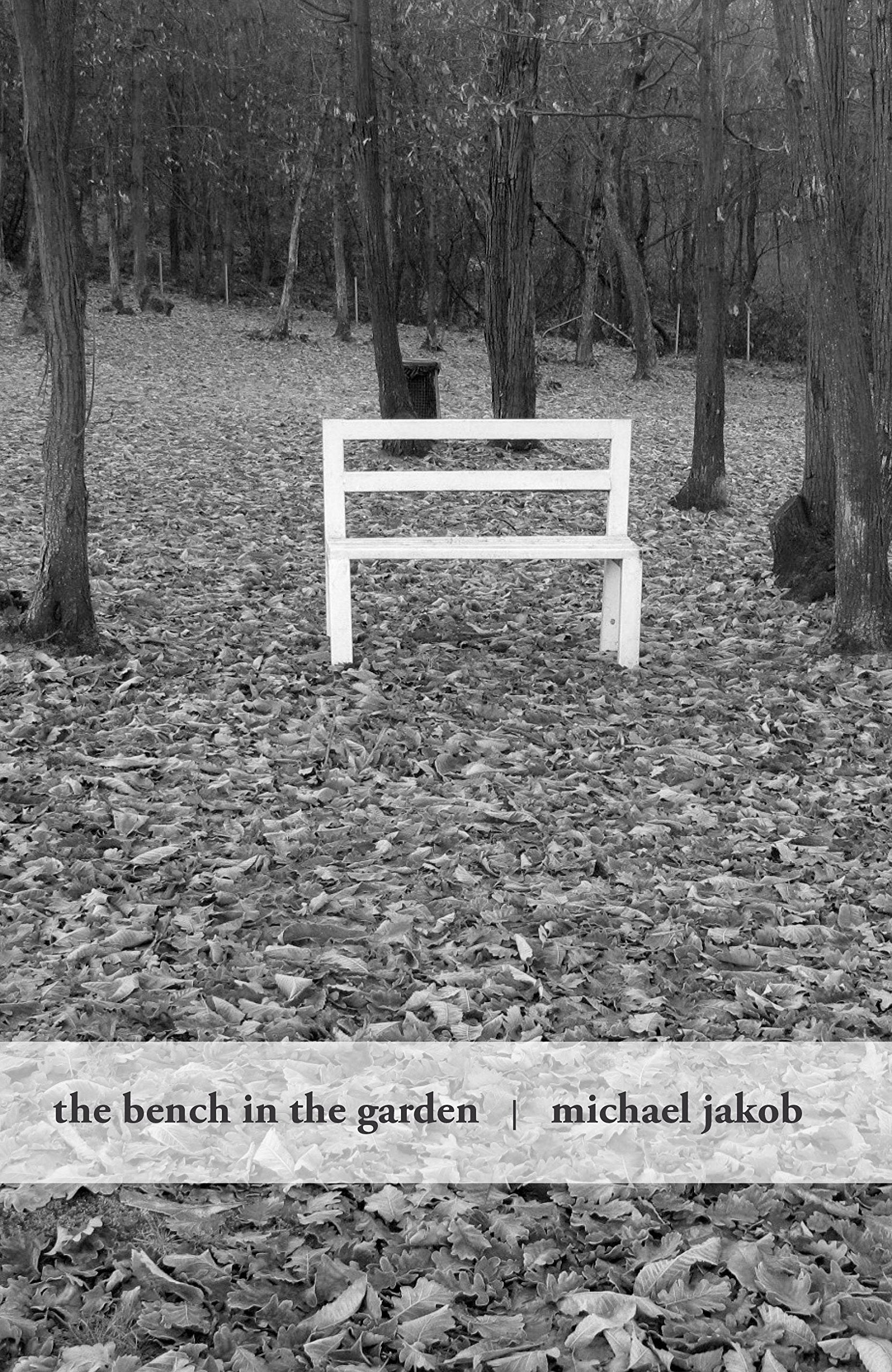 The Bench in the Garden: An Inquiry Into the Scopic History of a Bench,Used