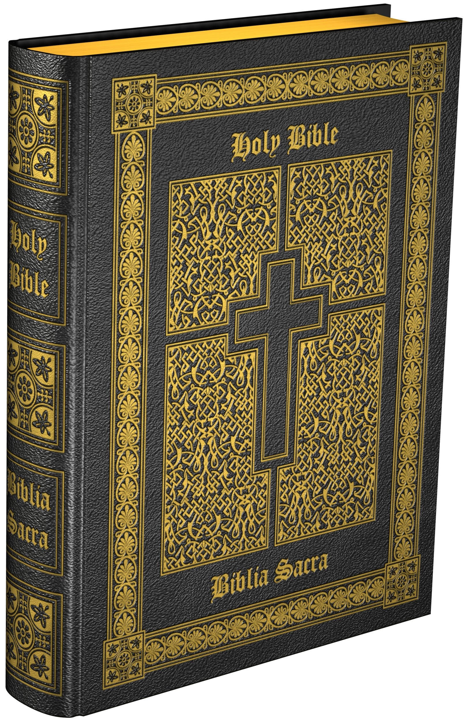 DouayRheims & Clementina Vulgata (English and Latin Edition),New