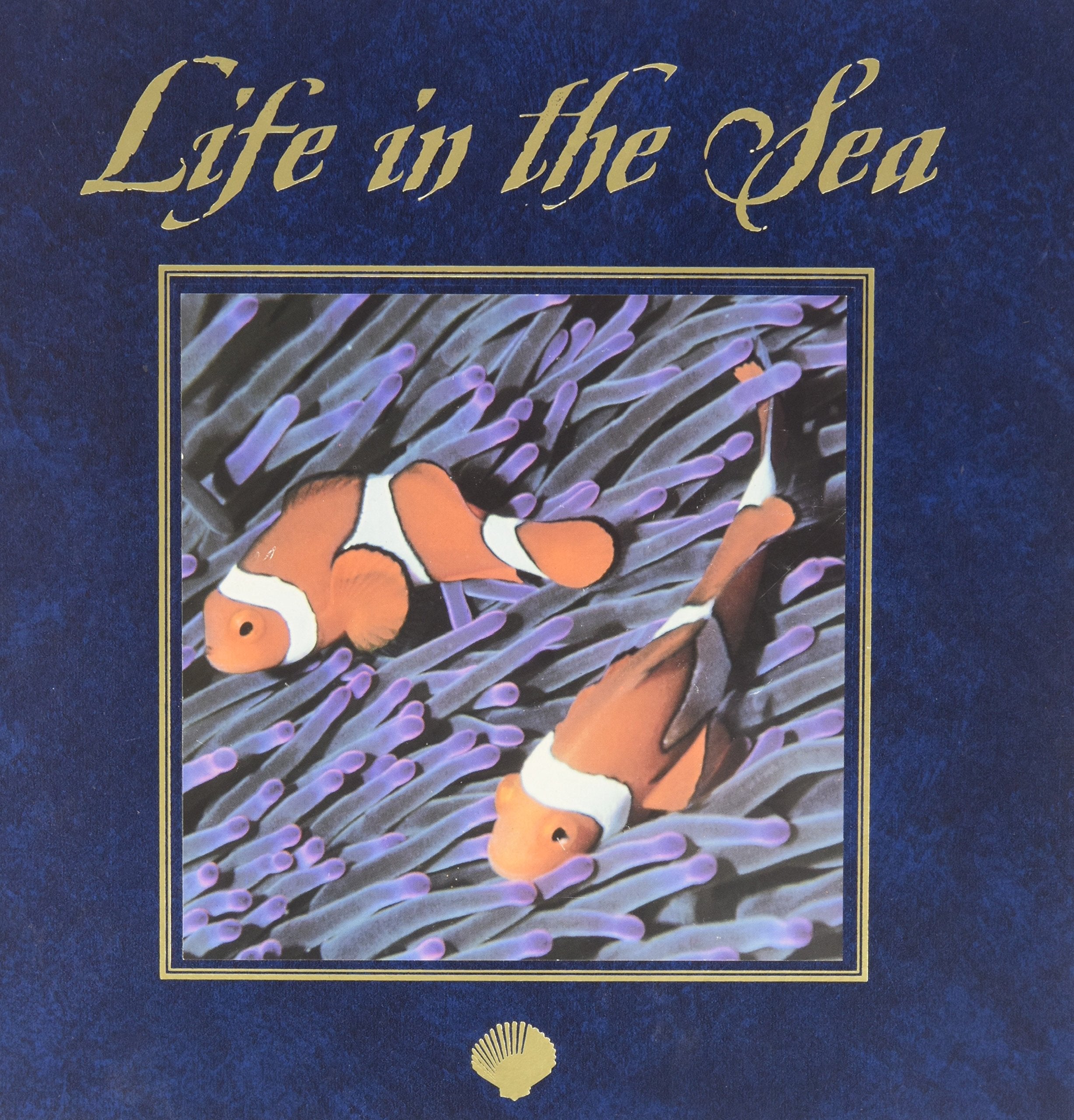 Life in the Sea,Used