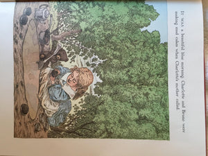 Dahlia (BOSTON GLOBEHORN BOOK HONORS (AWARDS)),Used