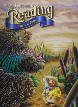 Reading 2004 Practice Book Grade 1.6,Used