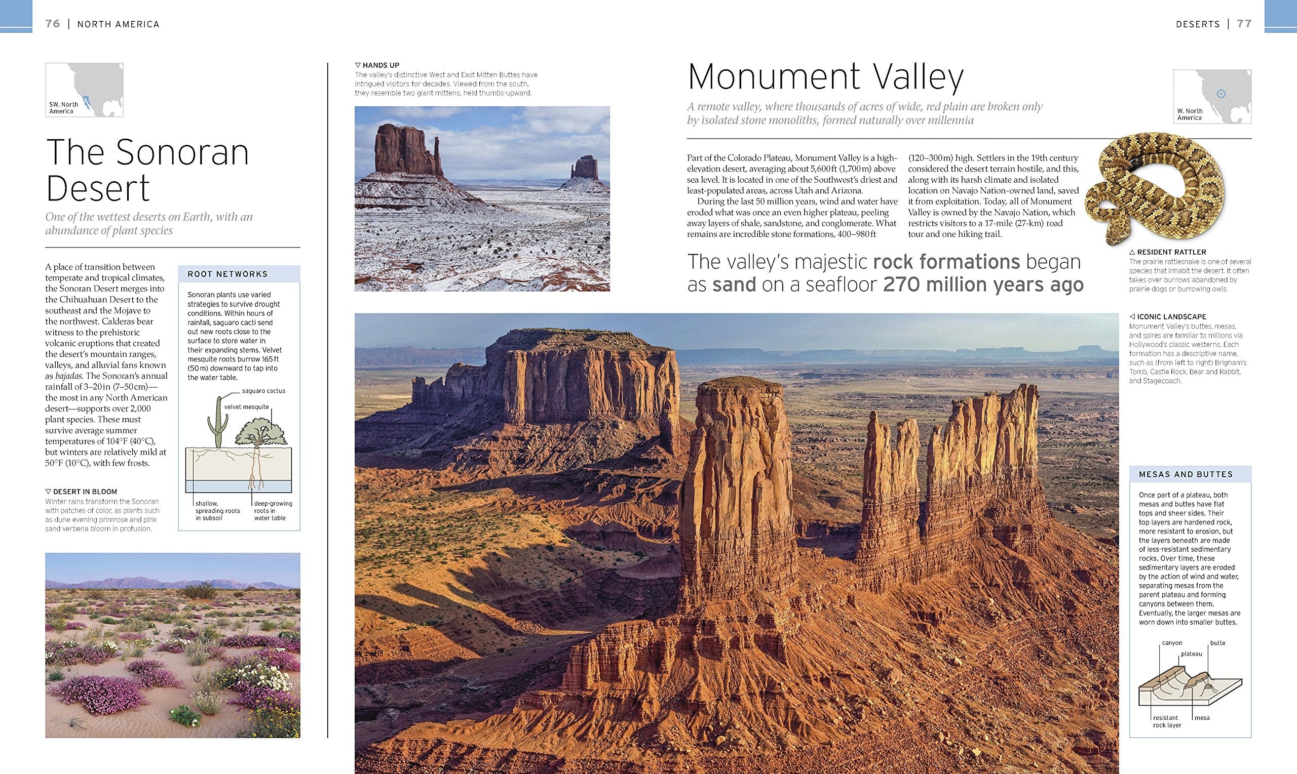 Natural Wonders Of The World (Dk Wonders Of The World),Used