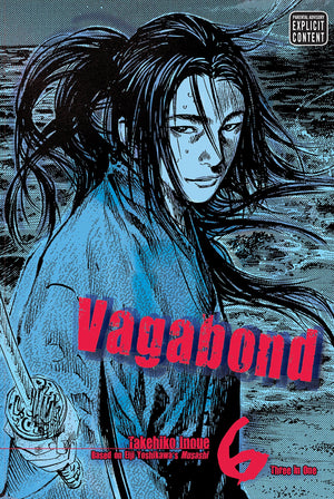 Vagabond, Vol. 6 (VIZBIG Edition),New