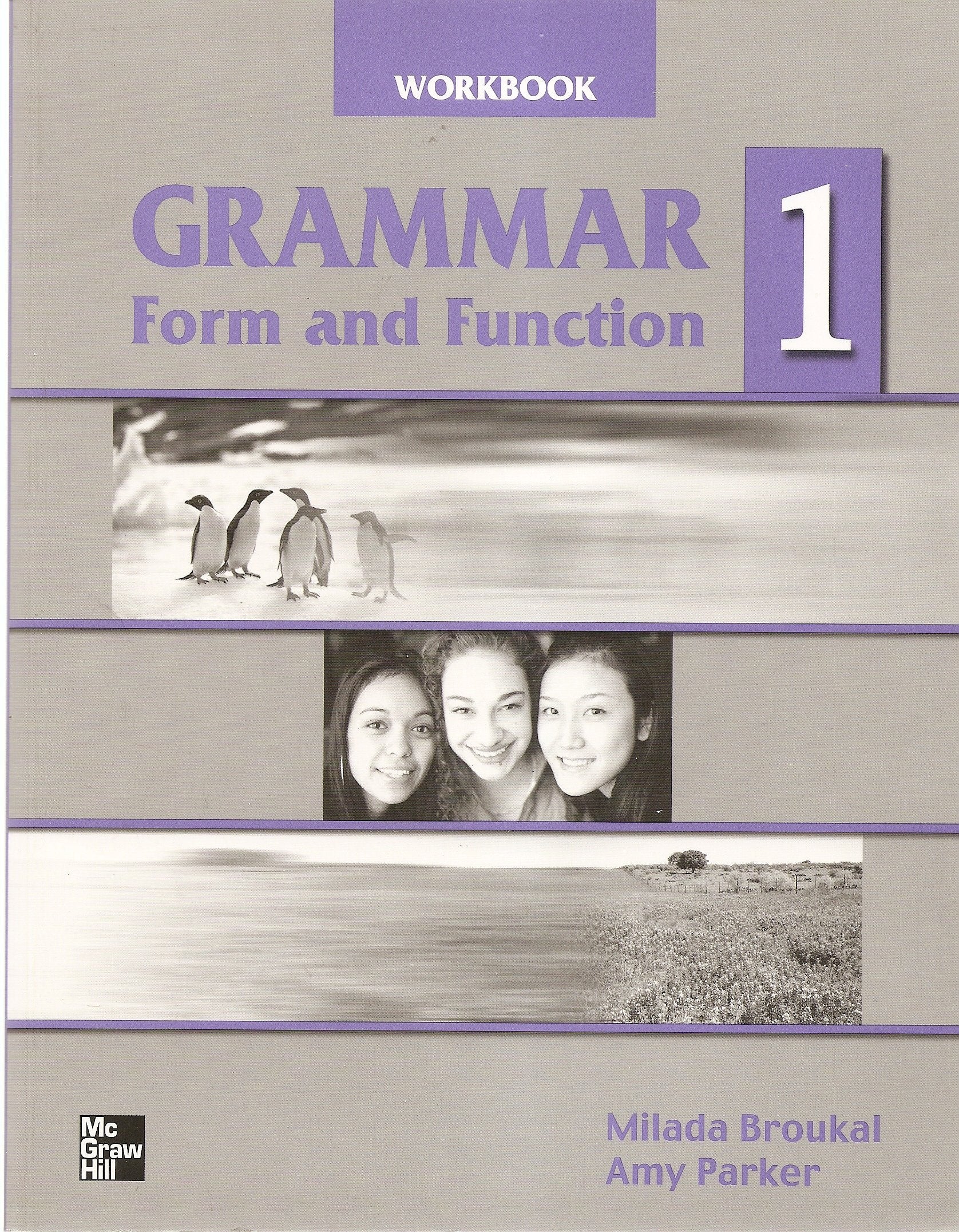 Grammar Form And Function 1 Workbook,Used