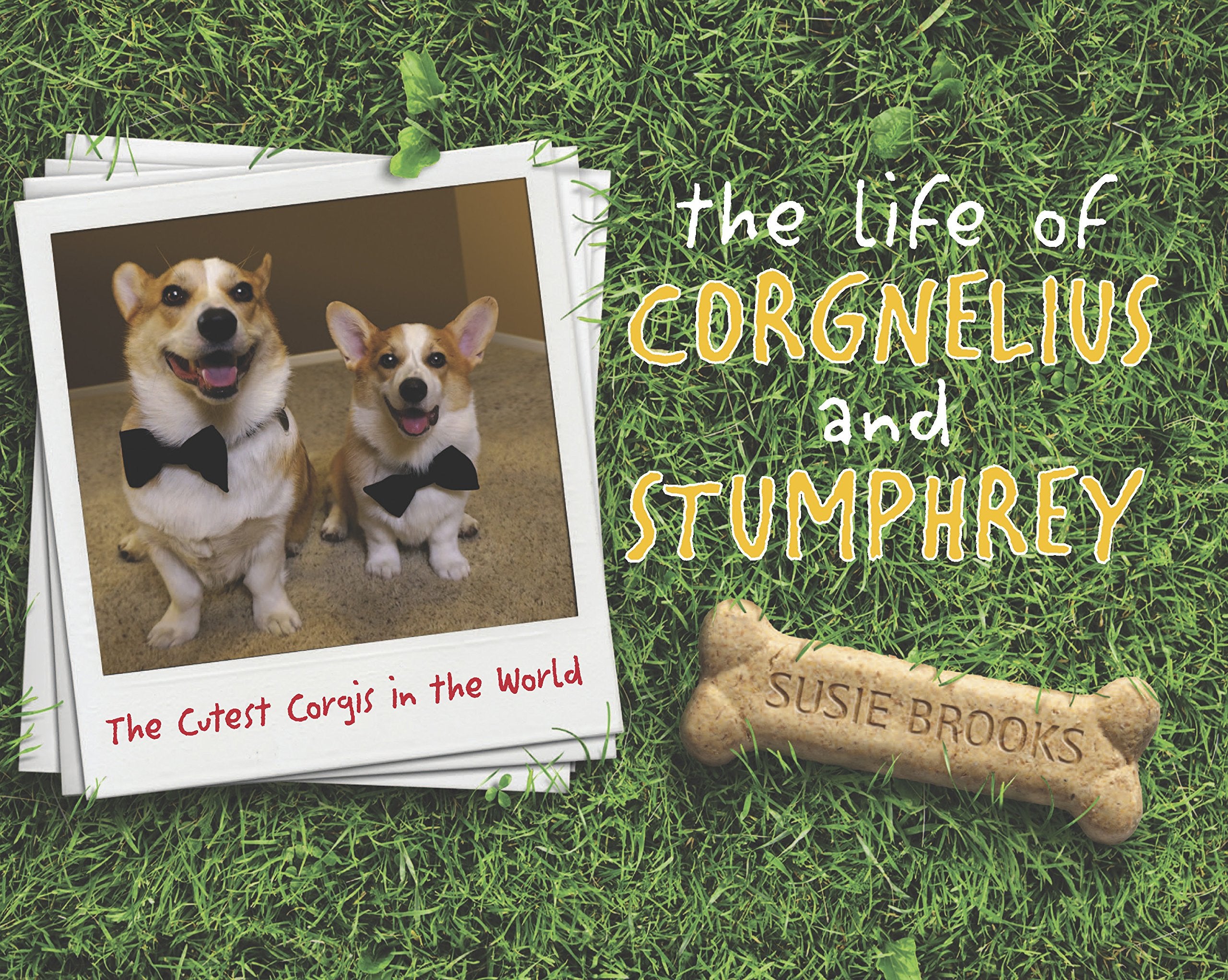 The Life of Corgnelius and Stumphrey: The Cutest Corgis in the World (English Edition),Used