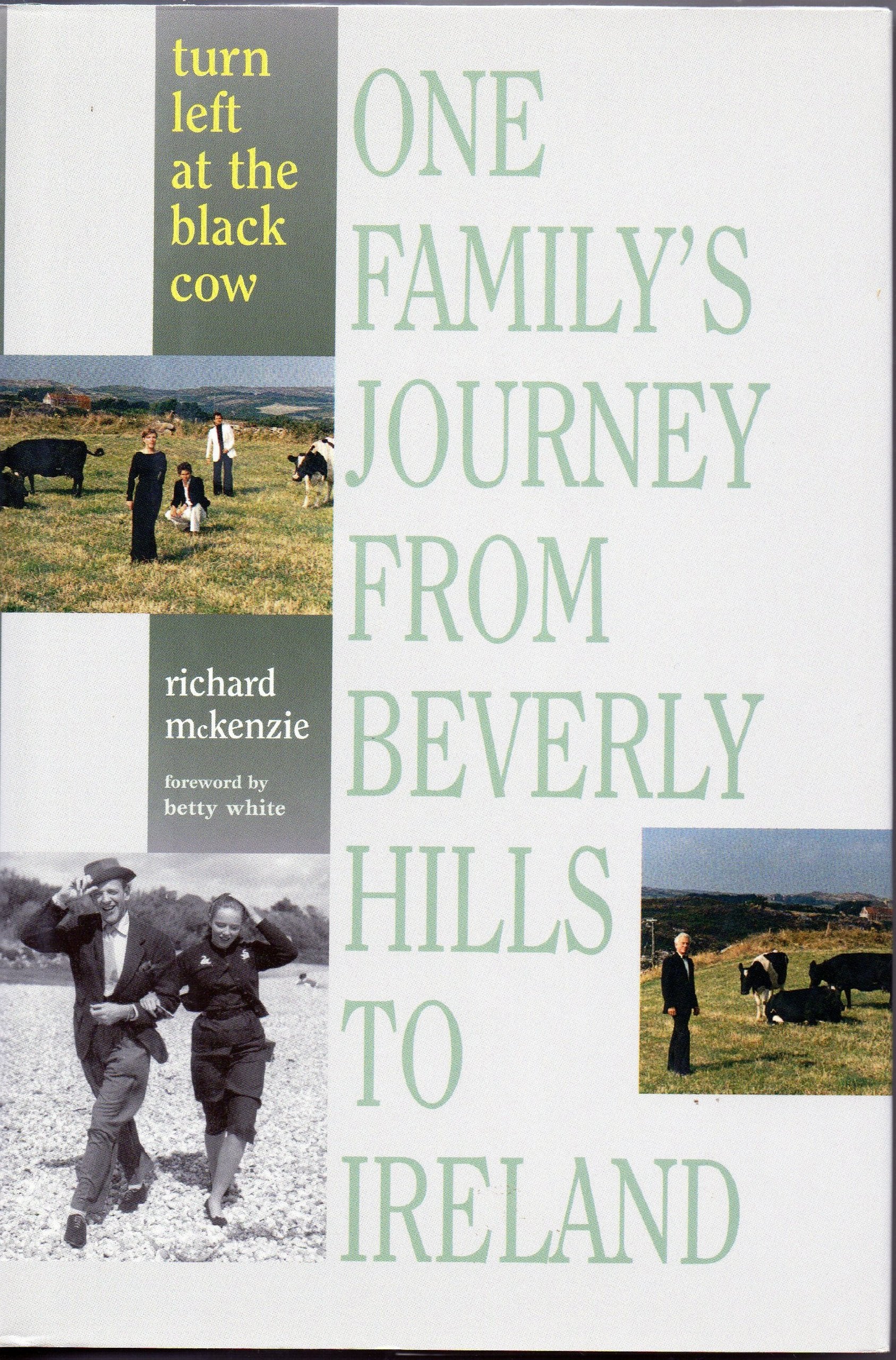 Turn Left at the Black Cow: One Family's Journey from Beverly Hills to Ireland,Used