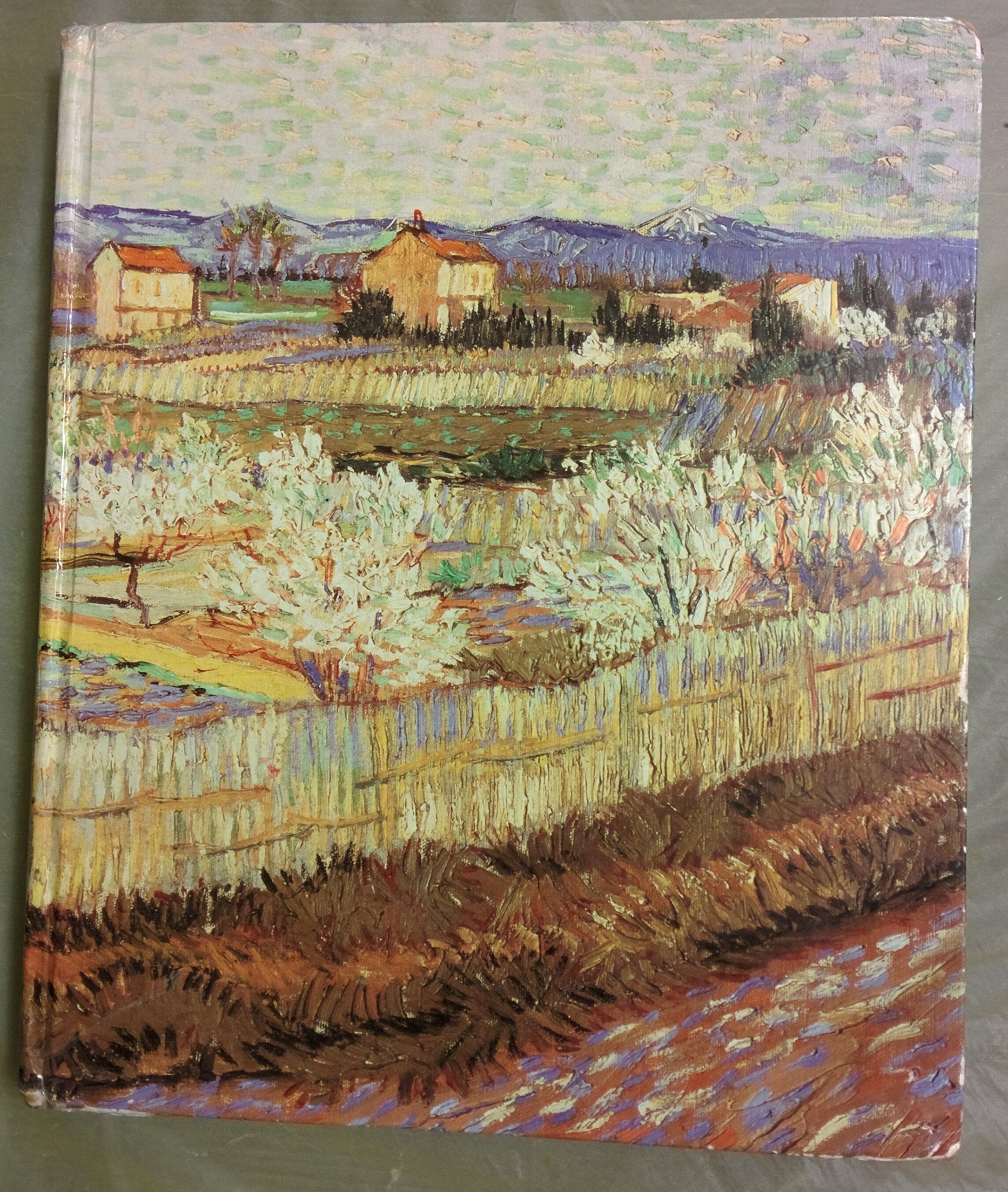 Biology of Plants, 7th Edition,Used