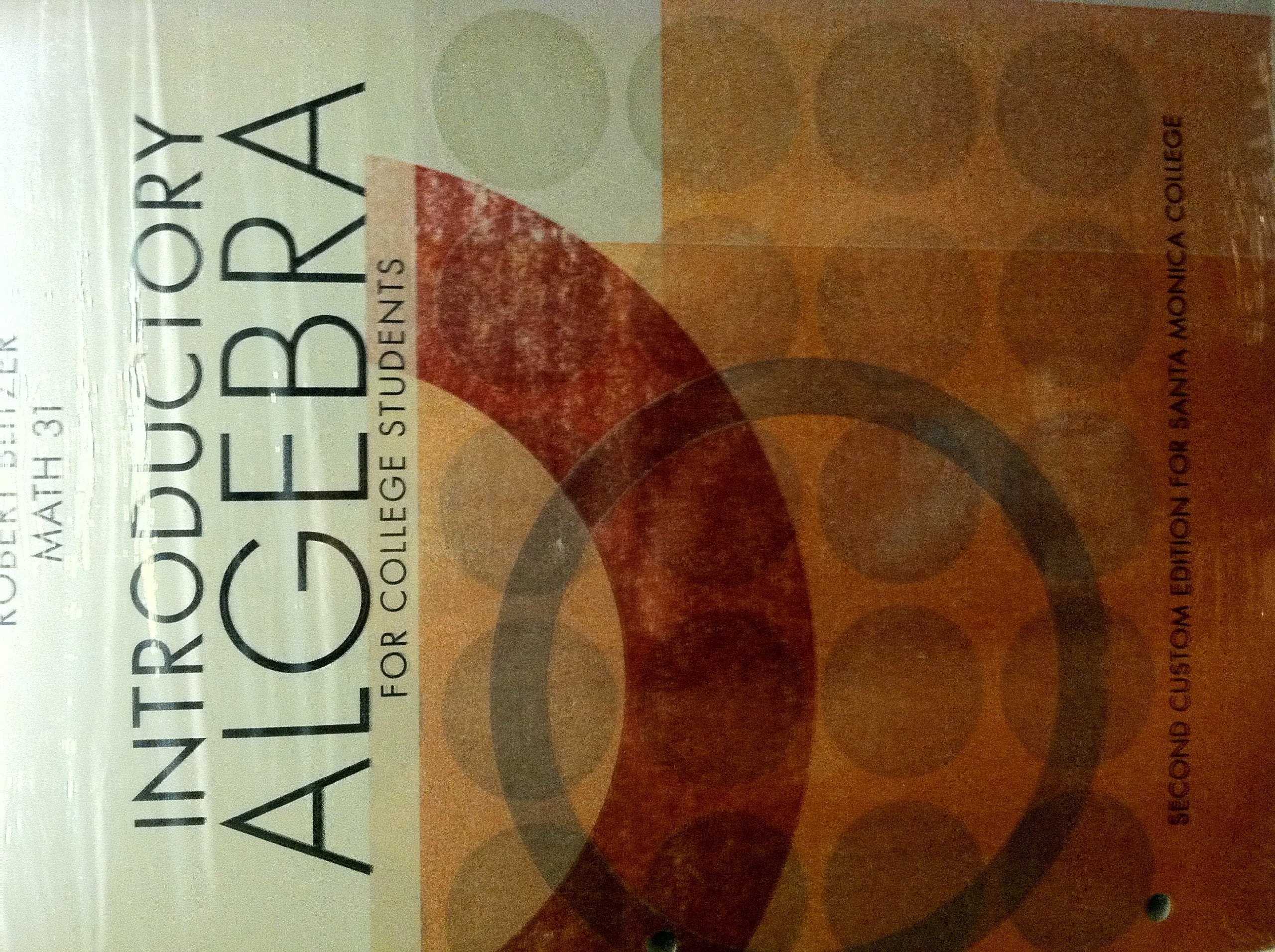 Introductory Algebra for College Students (6th Edition),Used