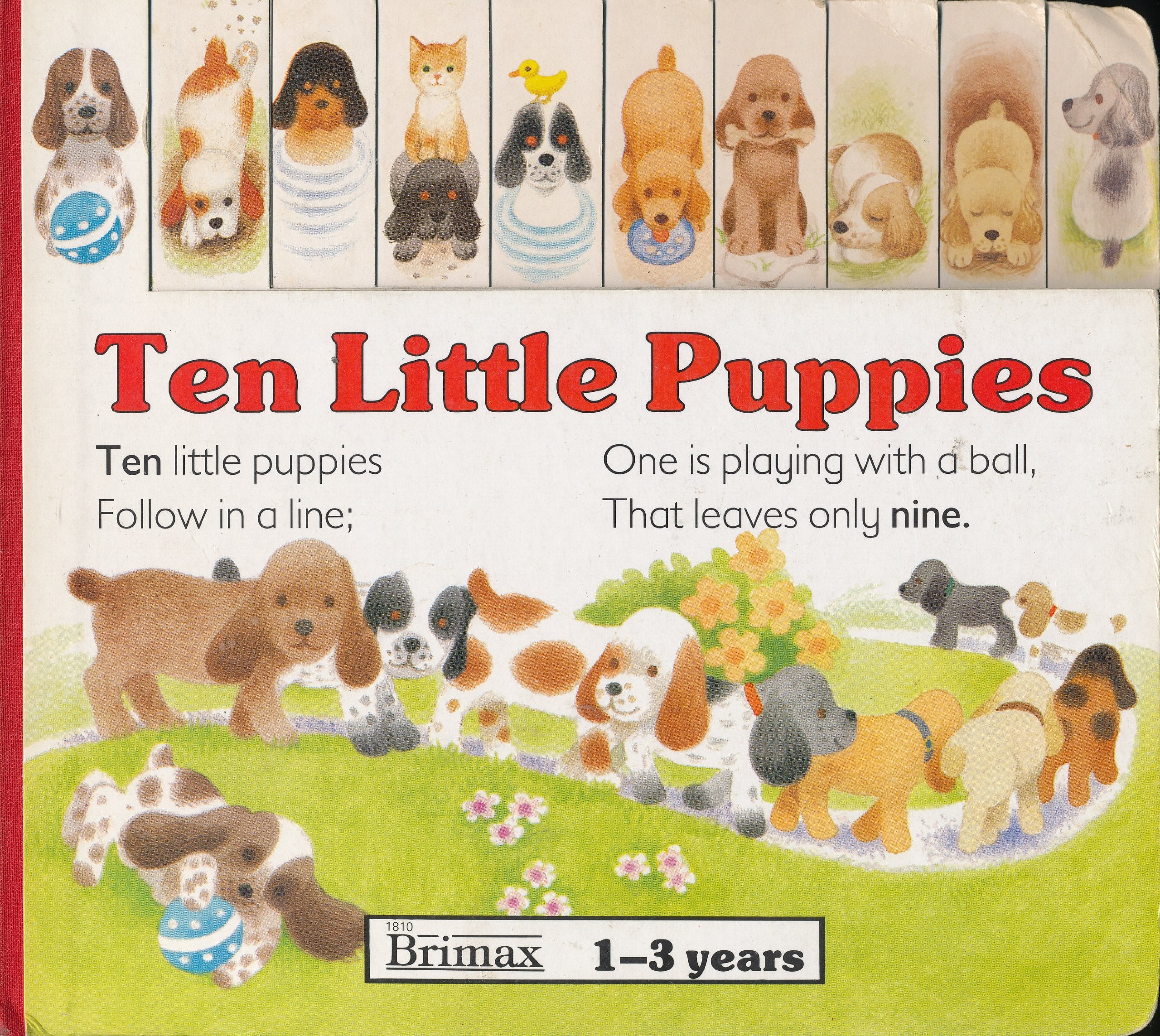 Ten Little Puppies (Board Counting Books),Used