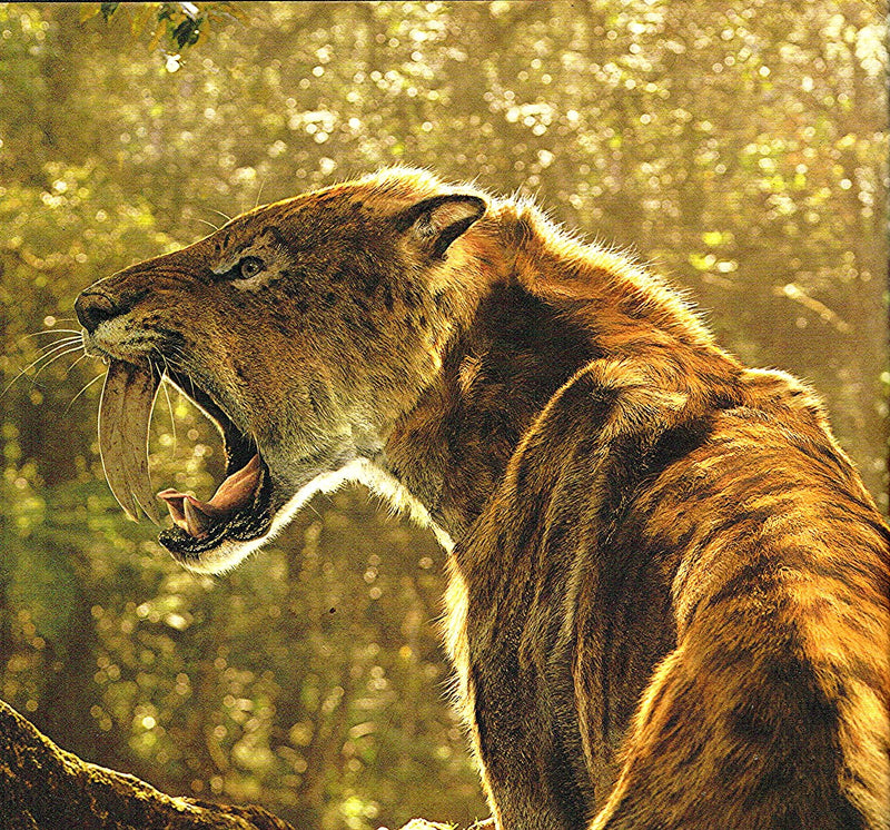 Walking with Beasts,Used