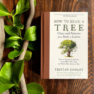 How To Read A Tree: Clues And Patterns From Bark To Leaves (Natural Navigation)