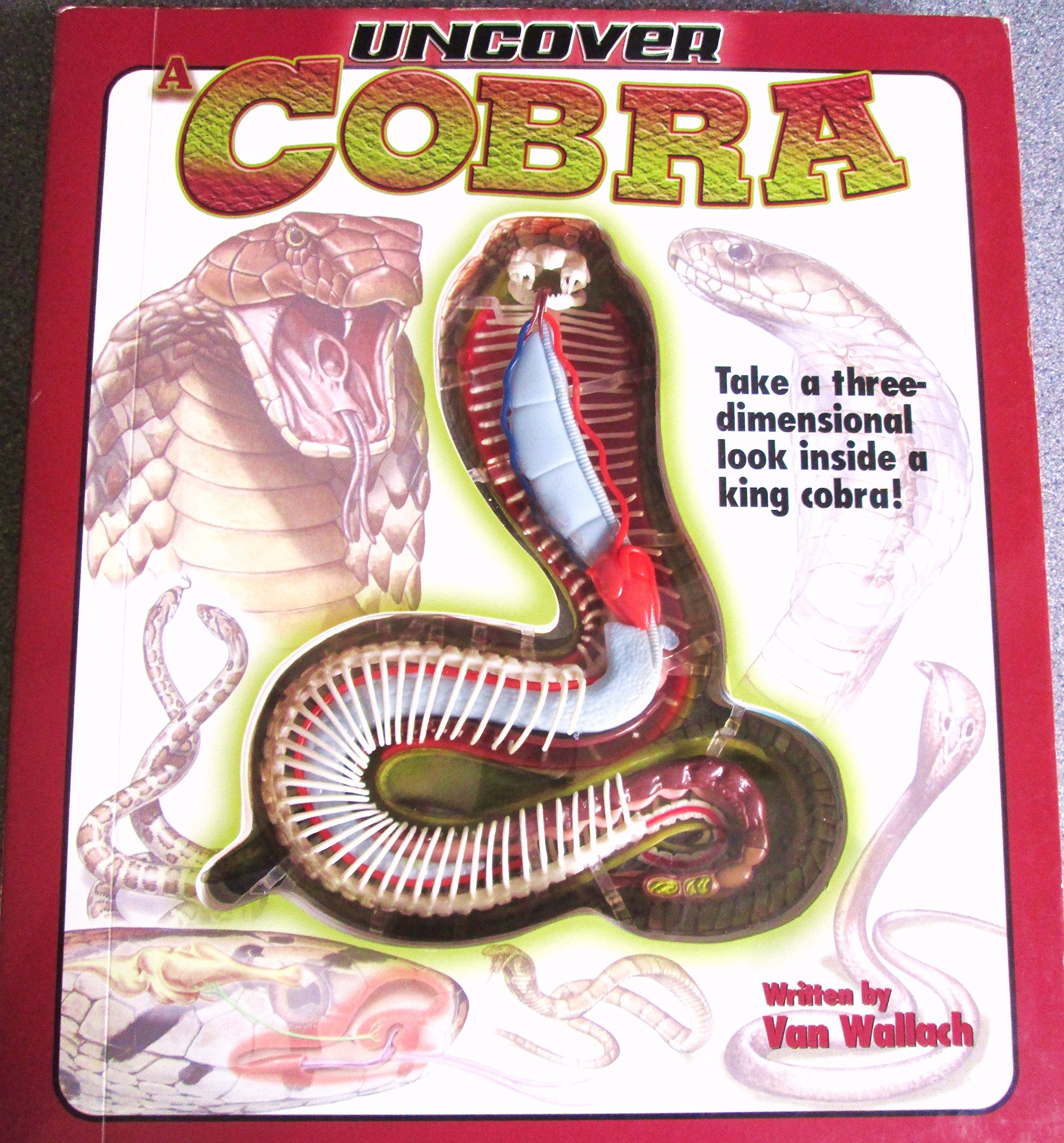 Uncover a Cobra (Uncover Books),Used
