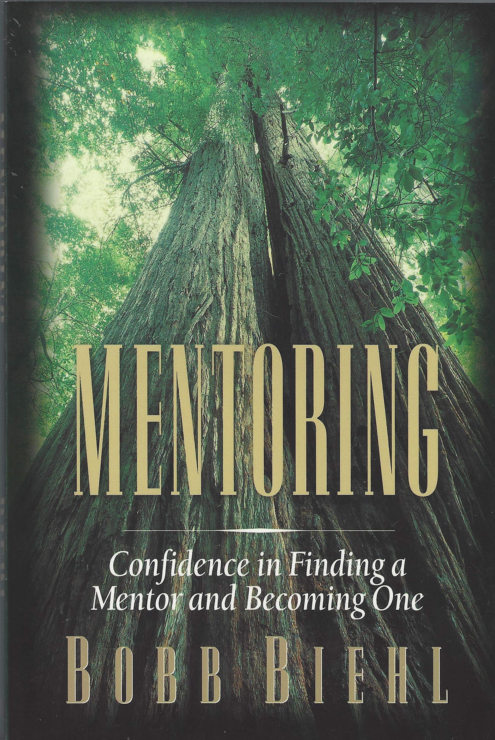 Mentoring: Confidence In Finding A Mentor And Becoming One,New