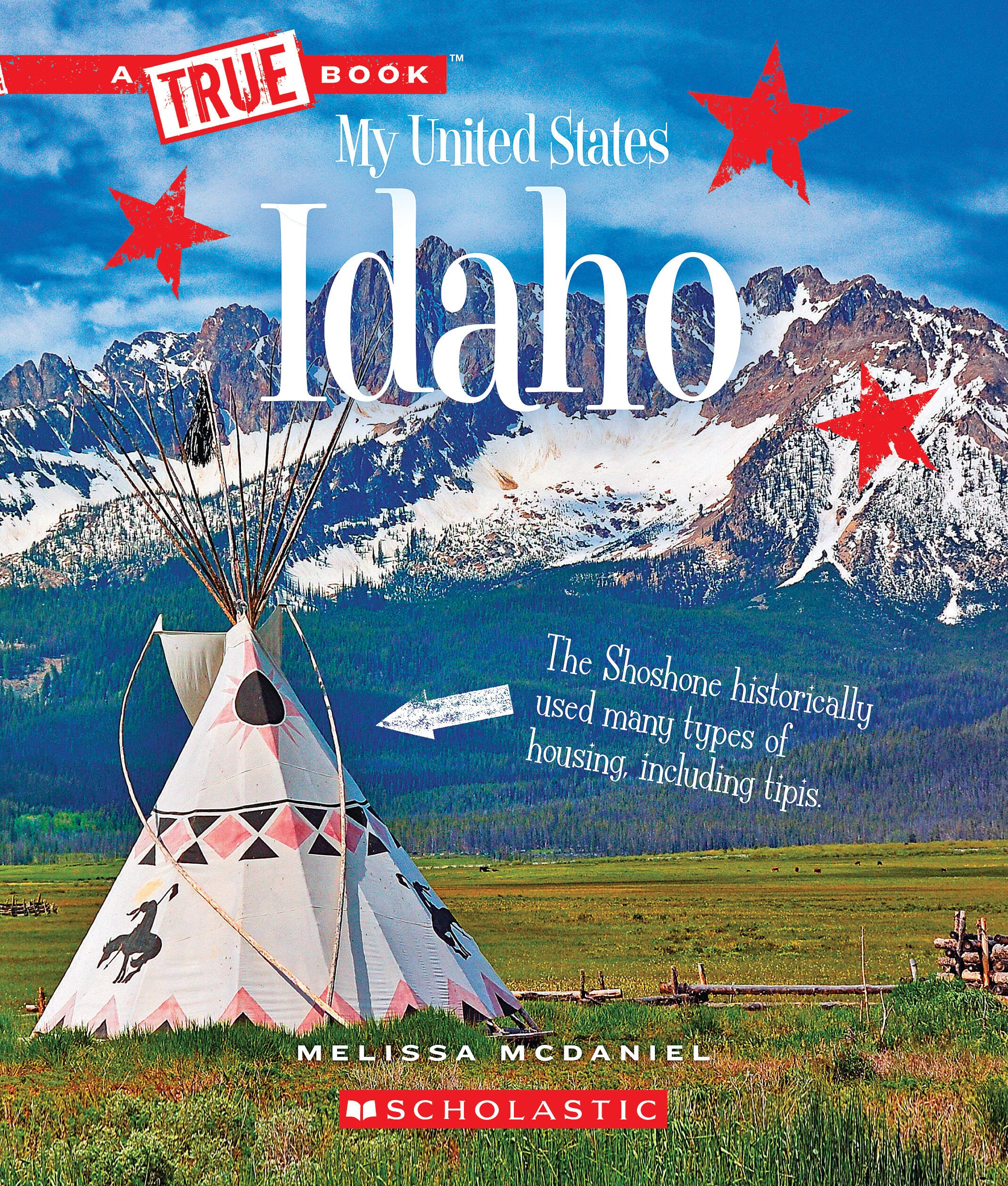 Idaho (A True Book: My United States) (A True Book (Relaunch)),Used