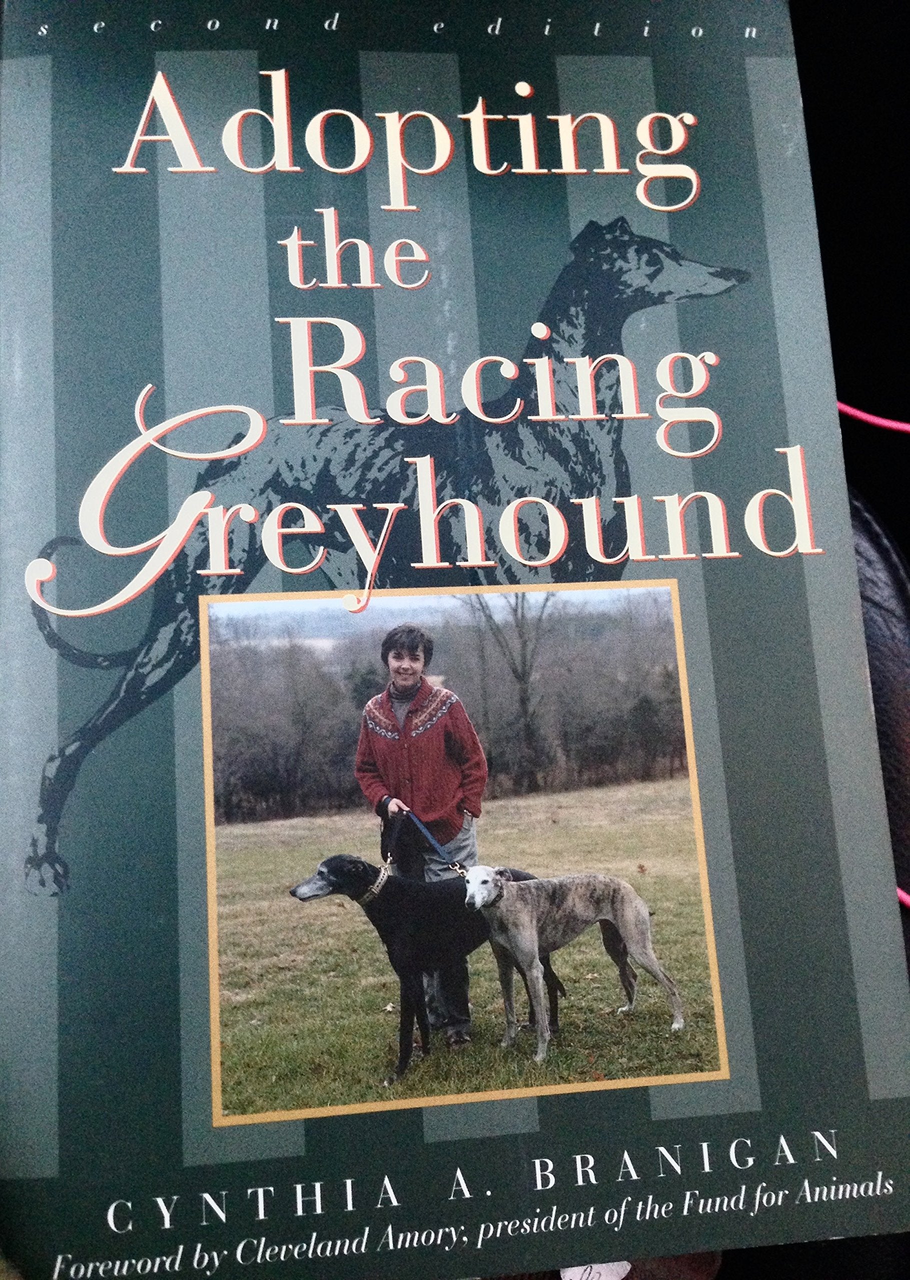 Adopting the Racing Greyhound,Used