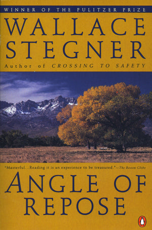 Angle of Repose (Contemporary American Fiction),Used