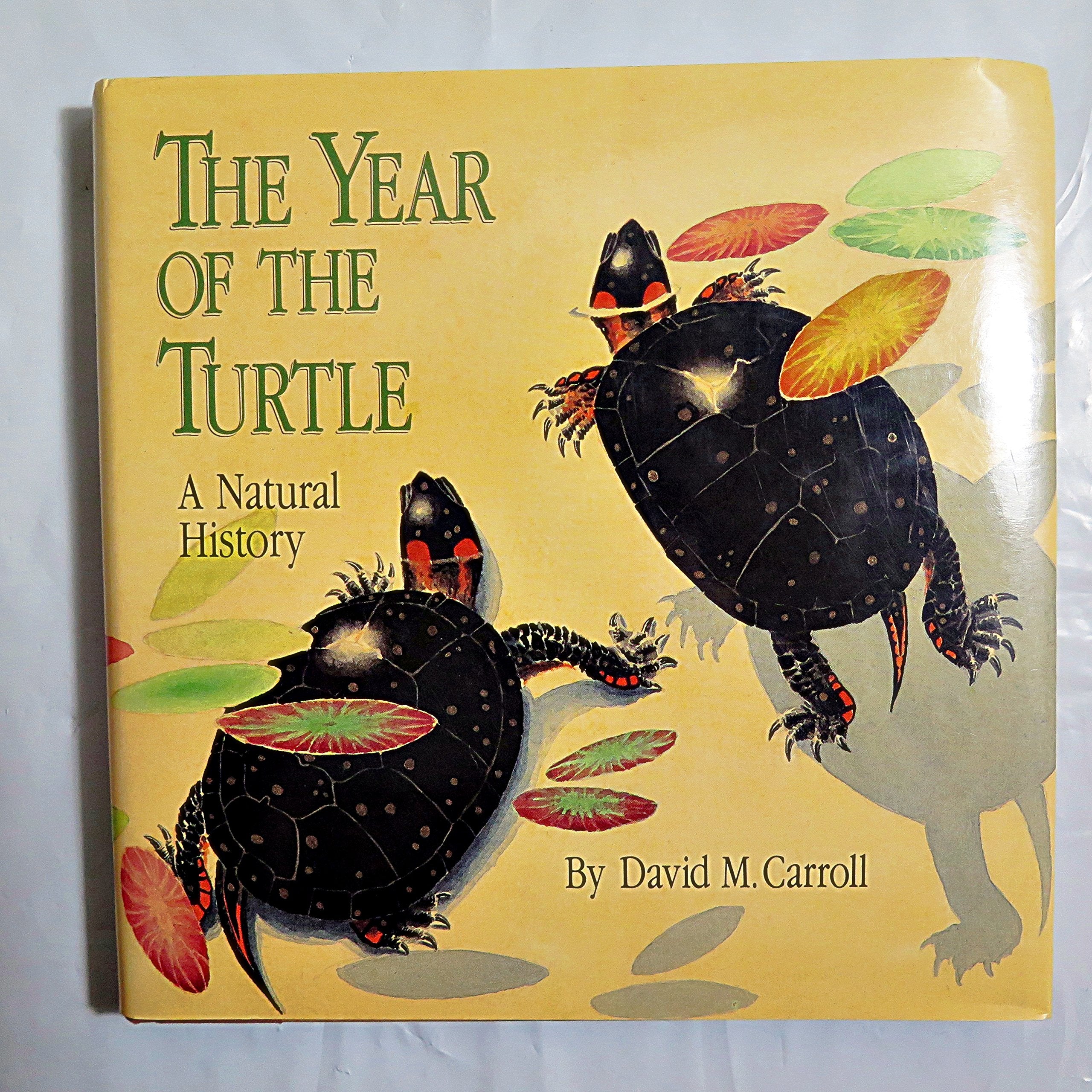 The Year of the Turtle: A Natural History,Used
