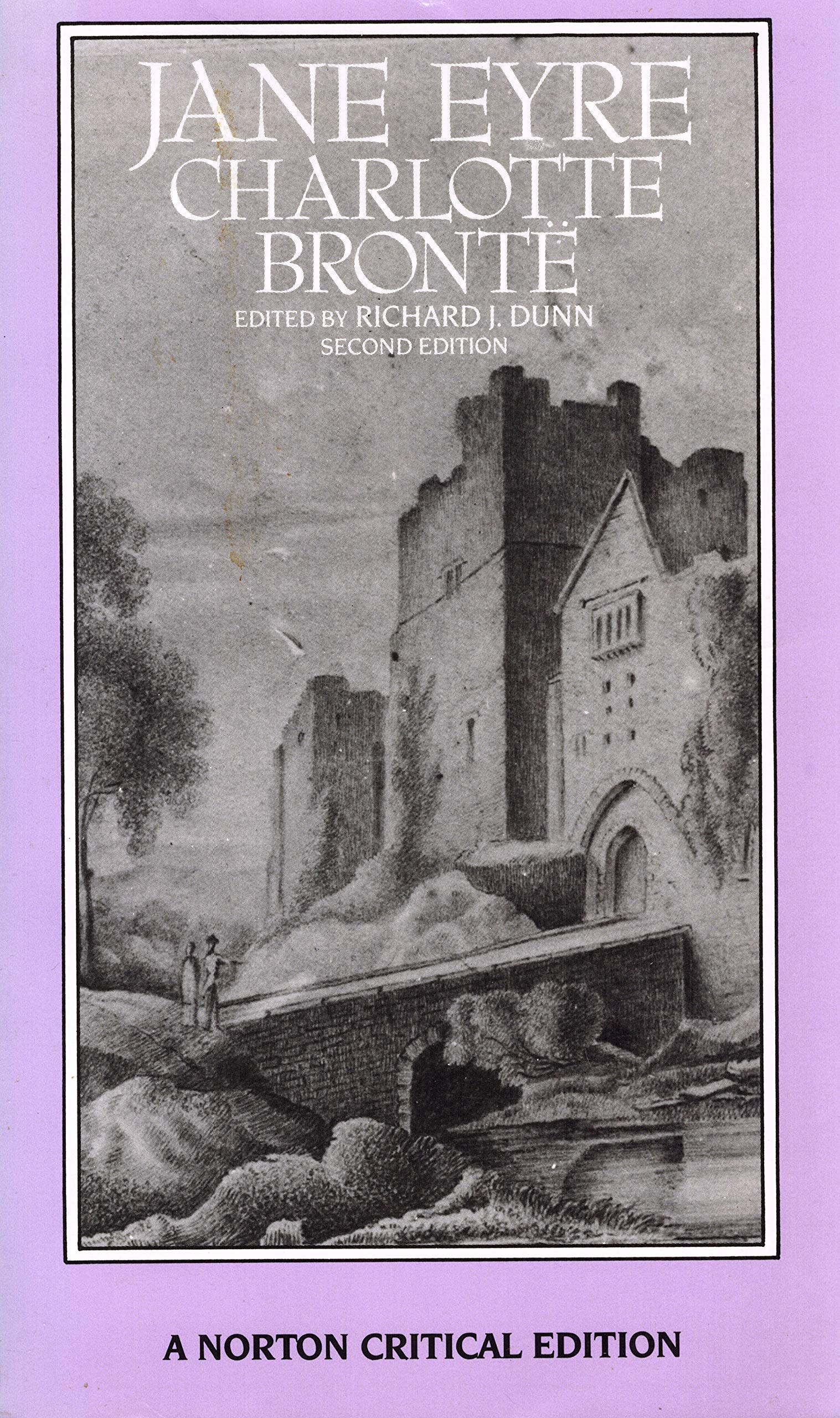 Jane Eyre: Authoritative Text, Backgrounds, Criticism (Norton Critical Editions),Used