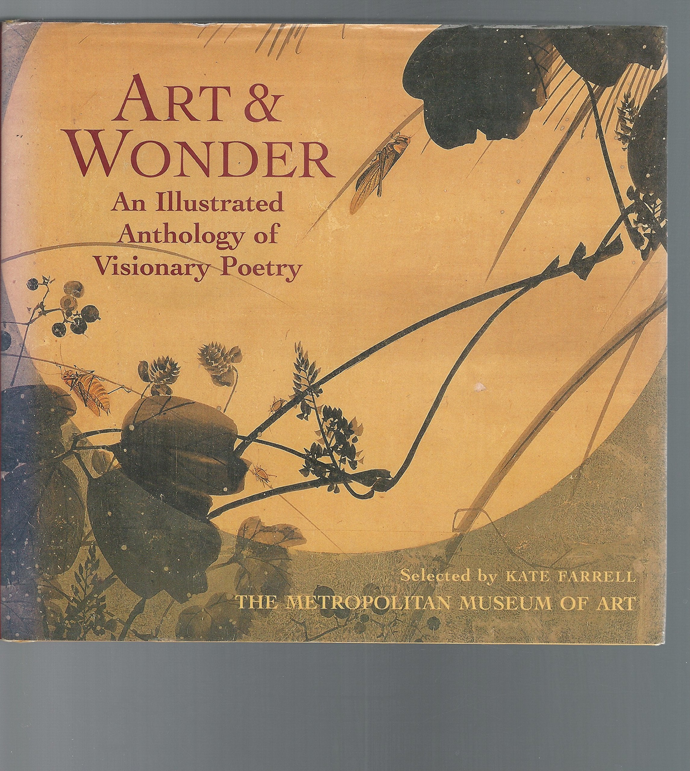 Art & Wonder: An Illustrated Anthology Of Visionary Poetry,Used